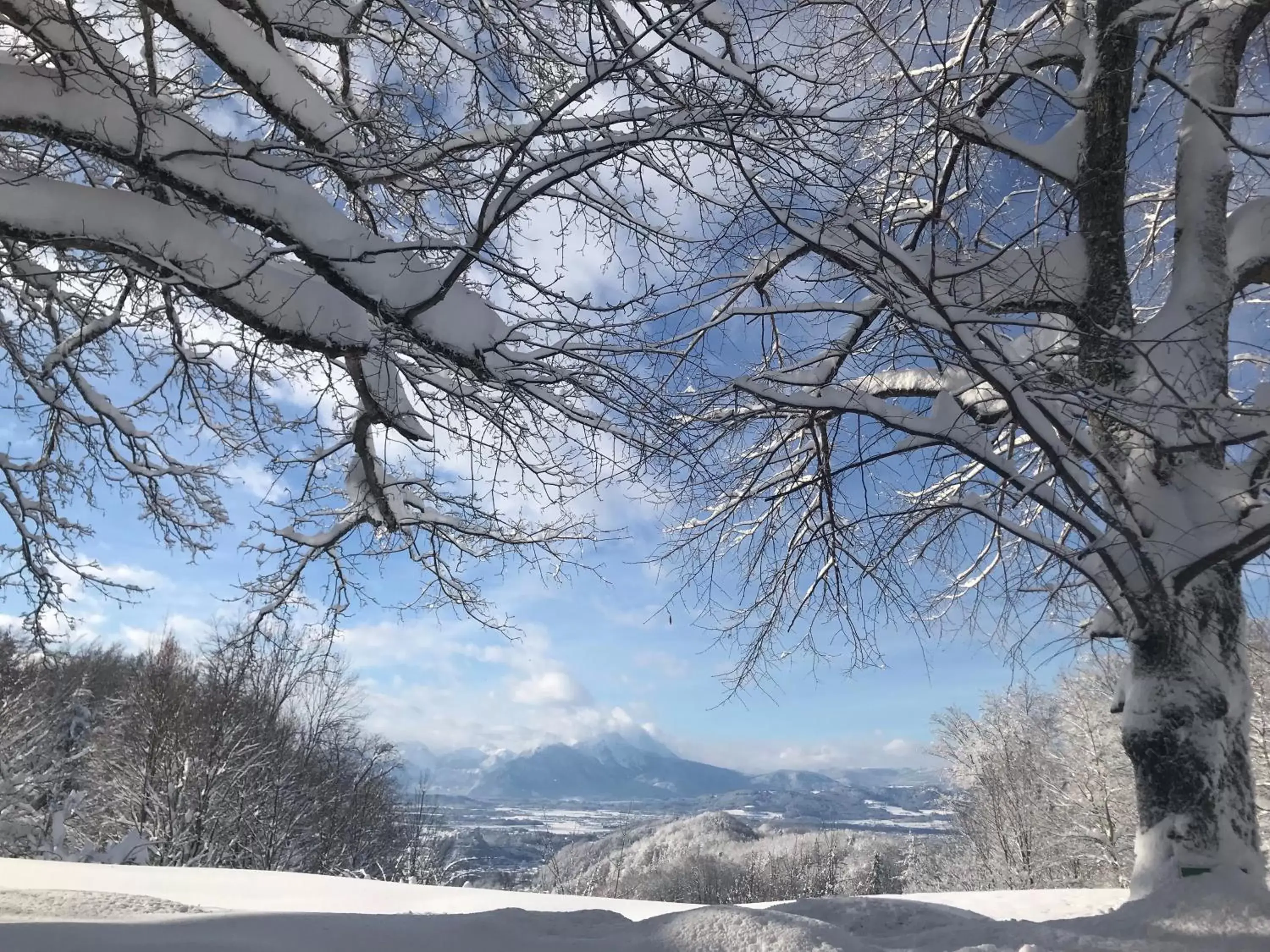 Natural landscape, Winter in Romantikhotel Die Gersberg Alm