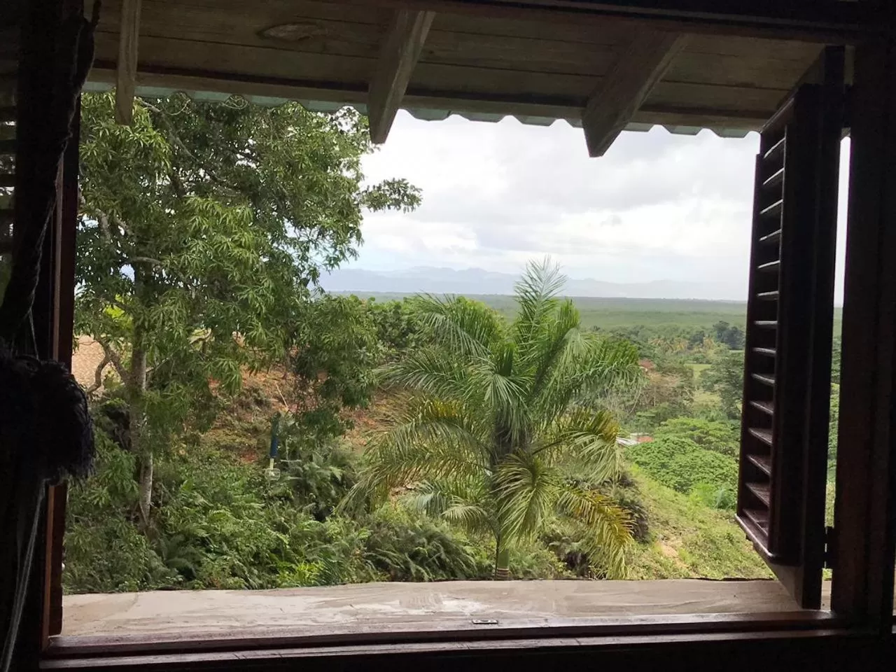 View (from property/room) in Altos de Caño Hondo