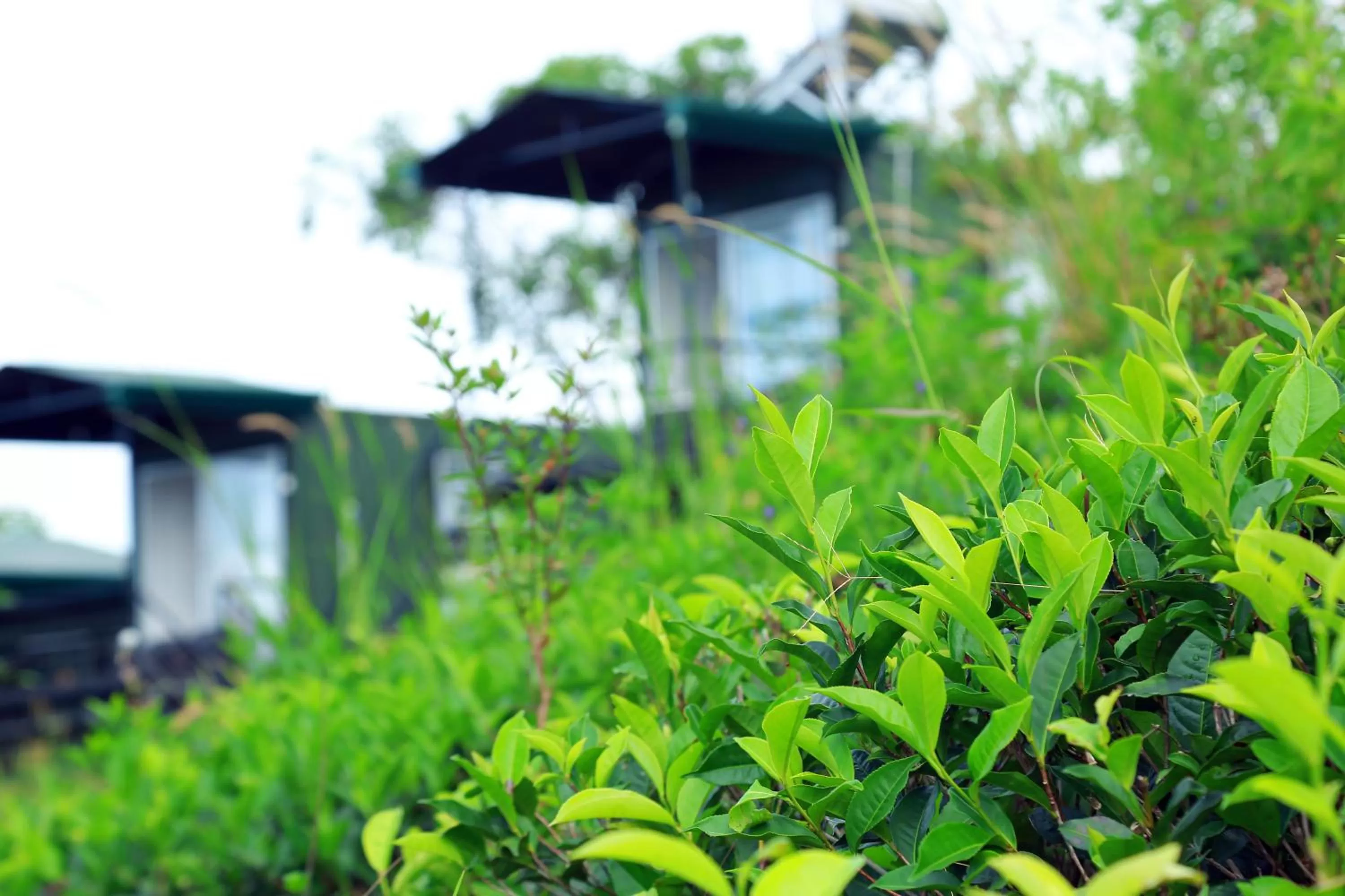 View (from property/room) in Box on clouds