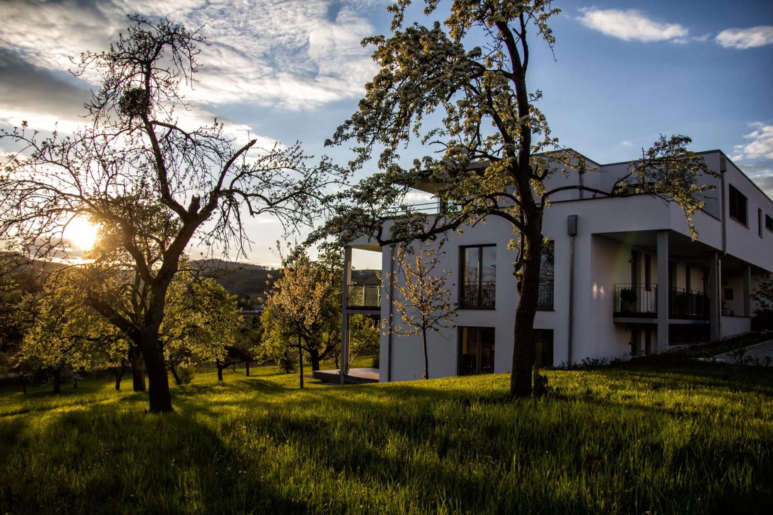 Property building, Garden in Hewen Apartments