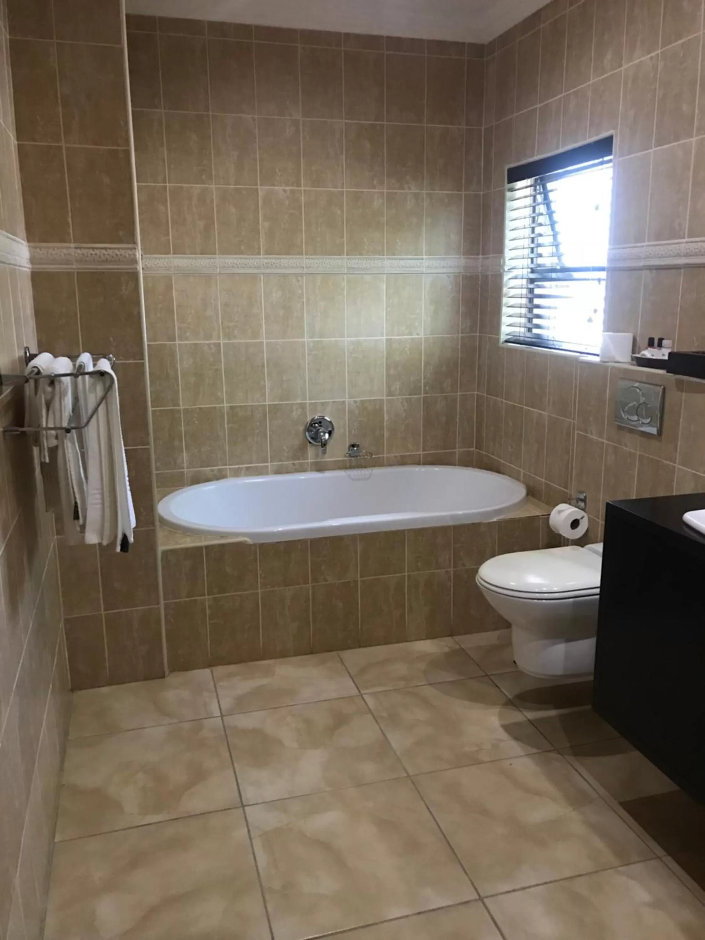 Toilet, Bathroom in Ebandla Hotel & Conference Centre