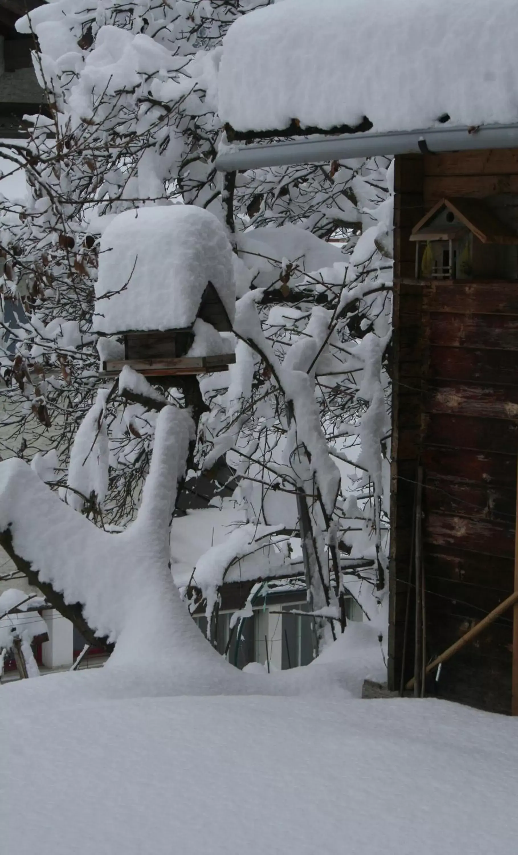 Garden, Winter in BnB Claudy et Elizabeth Michellod-Dutheil