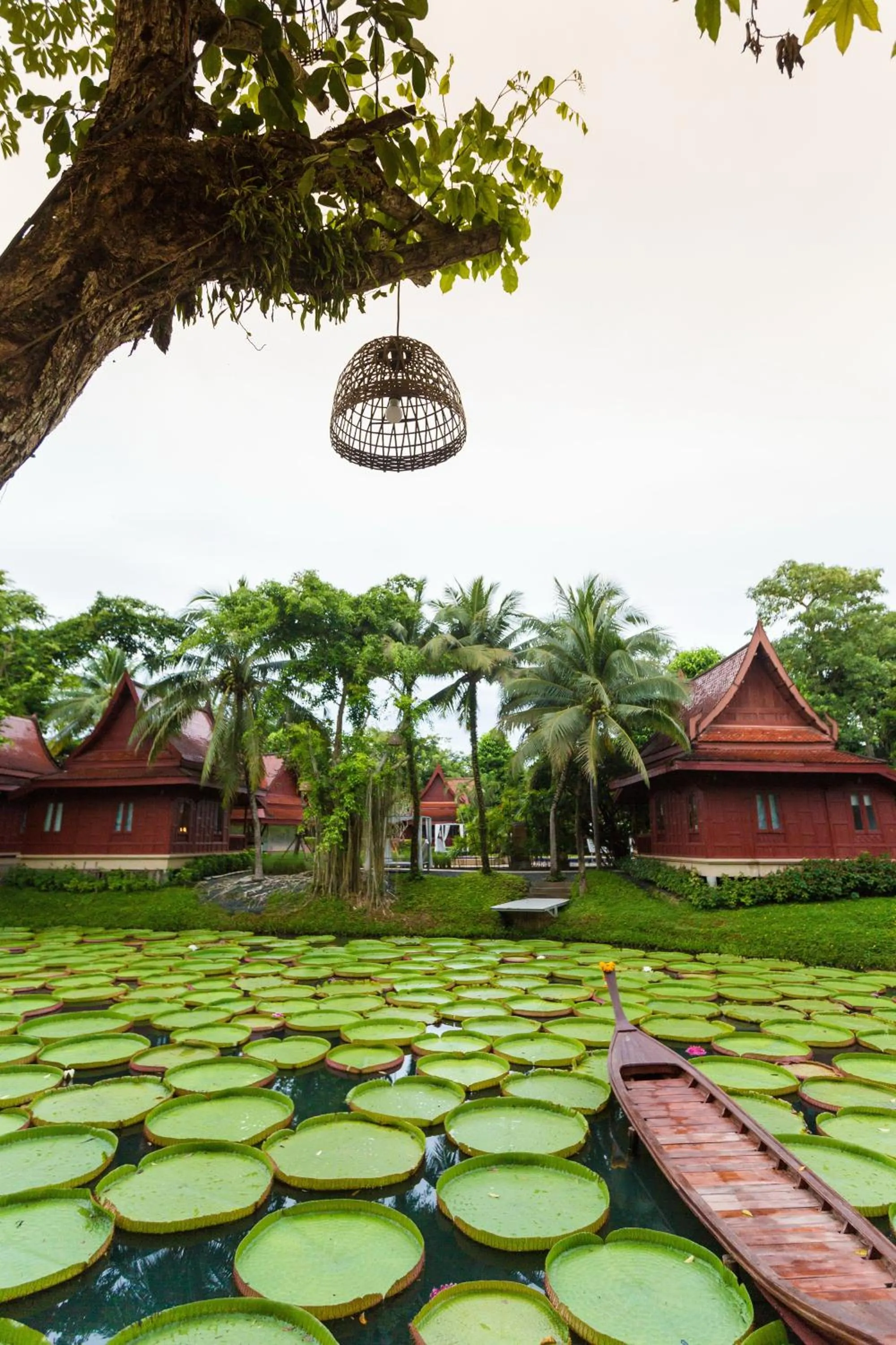 Garden in Ma Doo Bua Stay - SHA Extra Plus