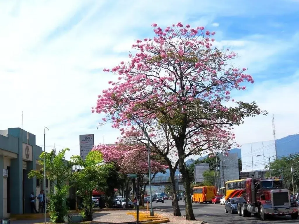 Neighbourhood, Property Building in Hotel Ambassador