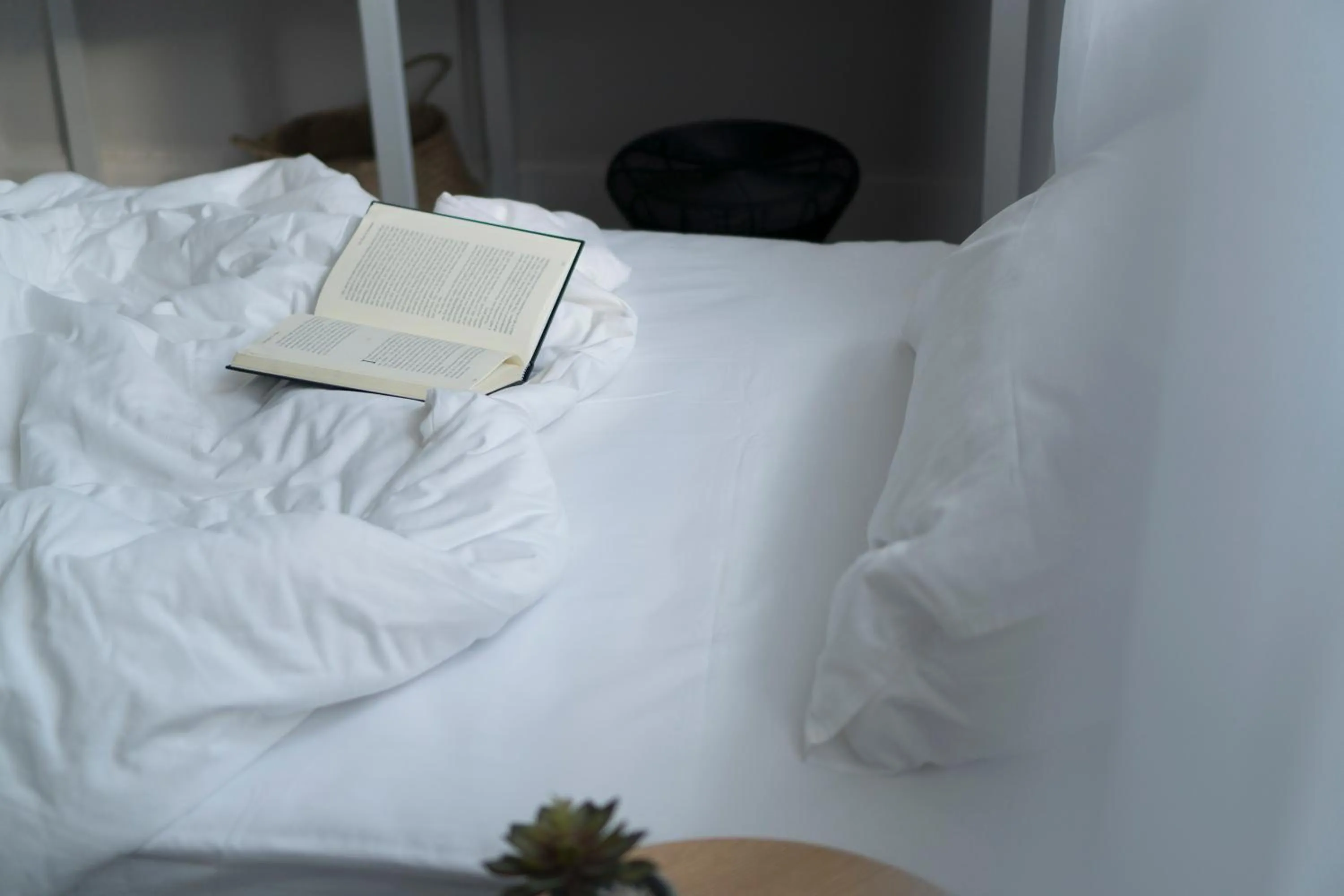 Photo of the whole room, Bed in Private Pool Villa 89 Nimman Chiang Mai