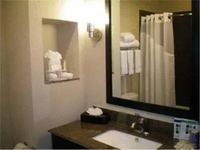 Bathroom in Holiday Inn Express Hotel & Suites Beaumont Northwest, an IHG Hotel