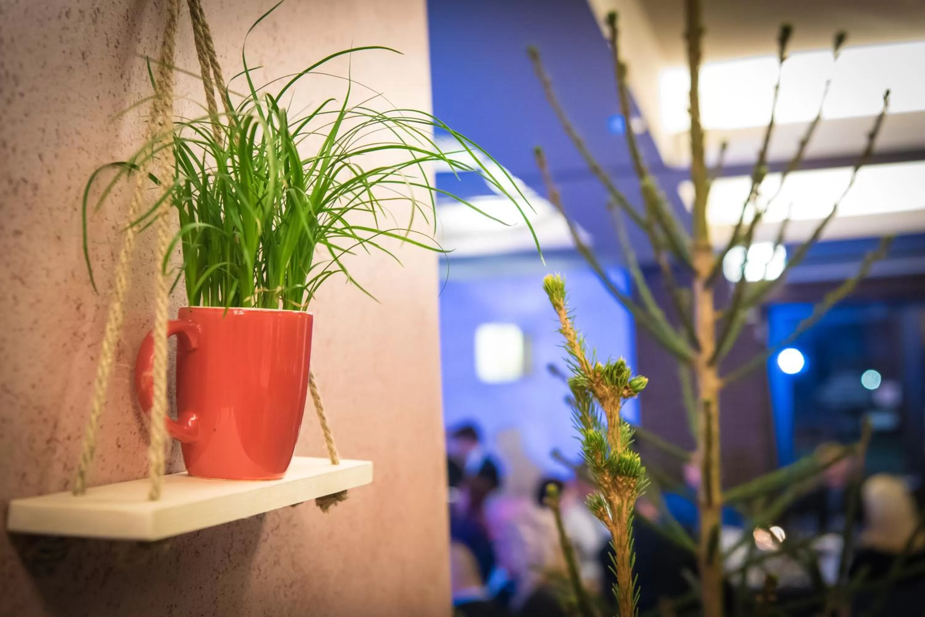 Restaurant/places to eat in Hotel Tigra