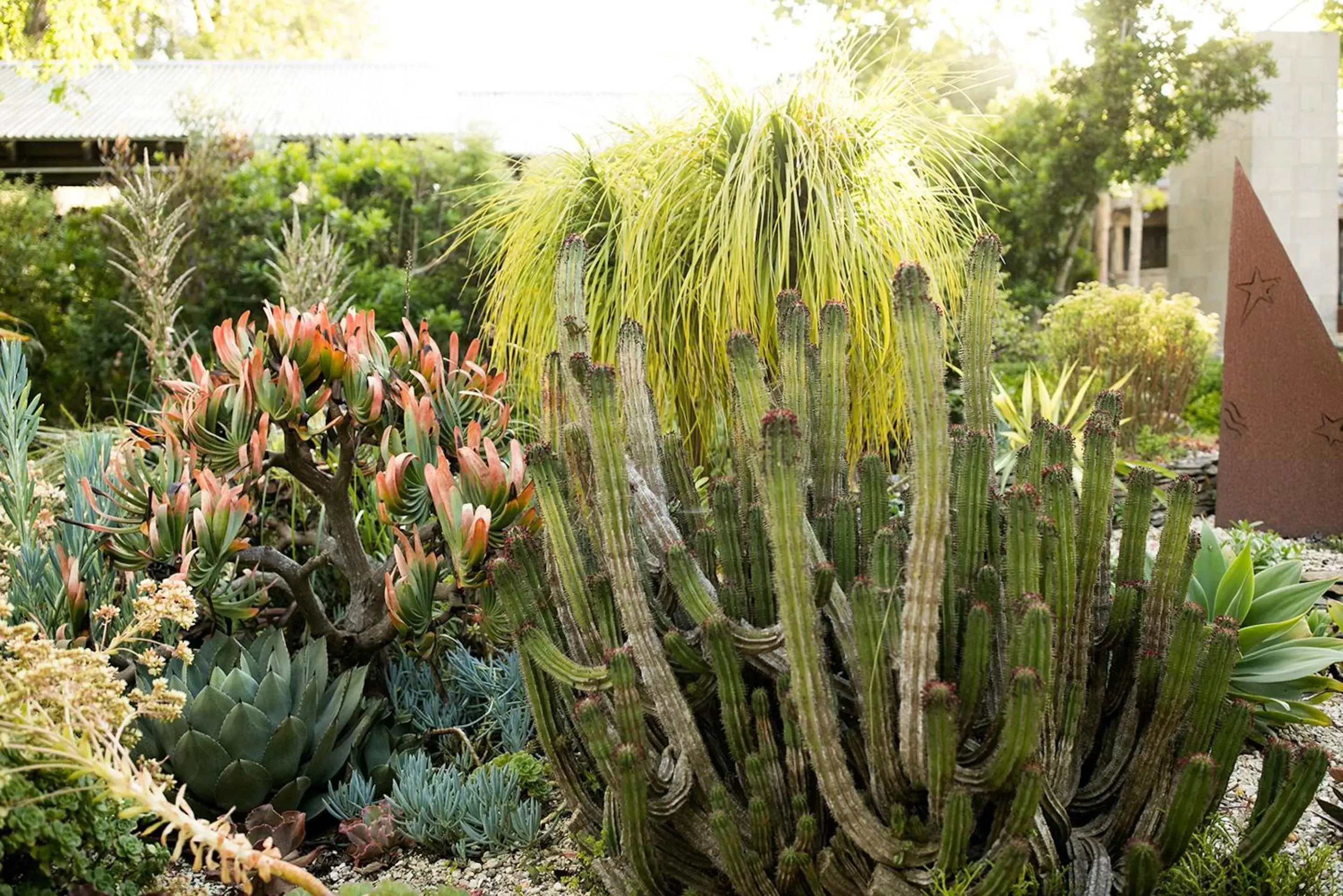 Garden in Cambria Pines Lodge