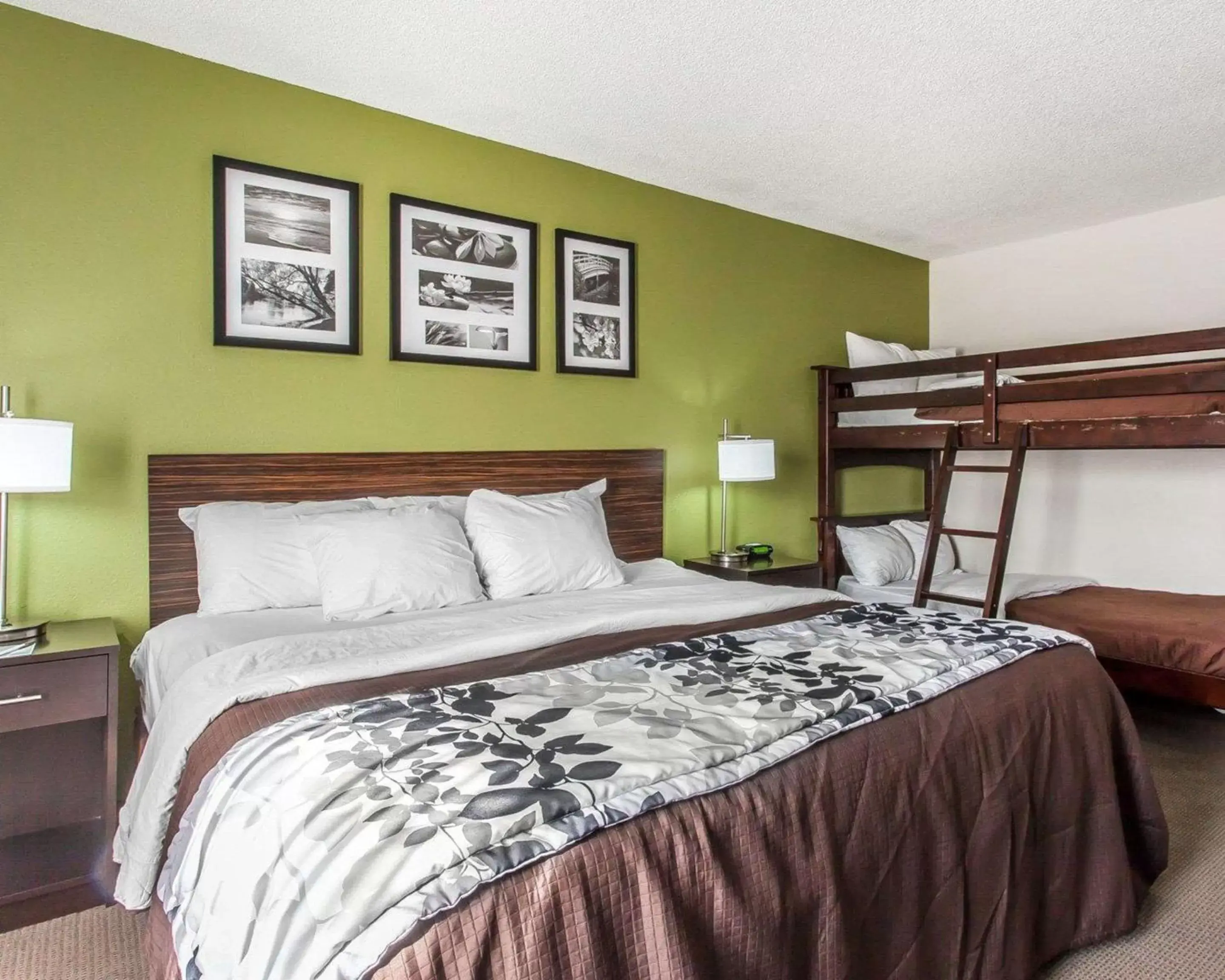 Photo of the whole room, Bed in Sleep Inn & Suites Near I-90 and Ashtabula Photo of the whole room, Bed in Sleep Inn & Suites Near I-90 and Ashtabula