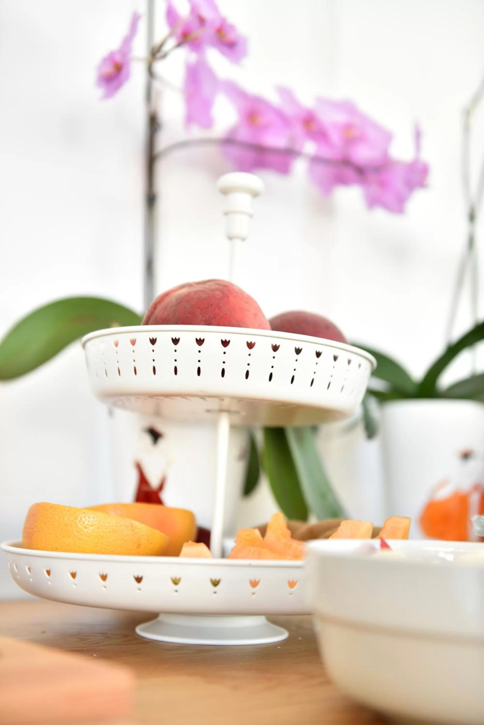 Mas de la Grenouillère Hôtel et Centre équestre en pleine nature