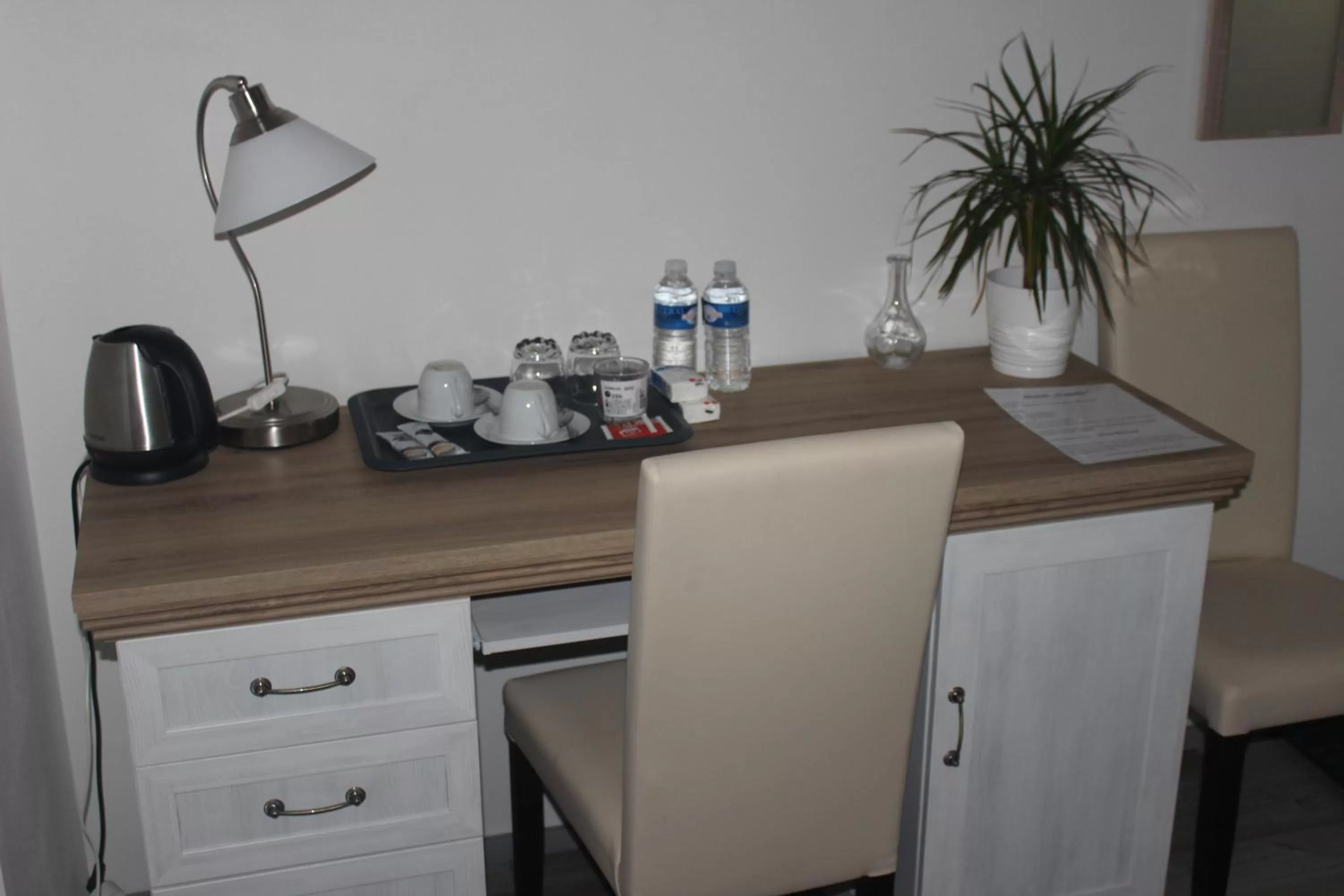 Coffee/tea facilities in Penzion Vesely