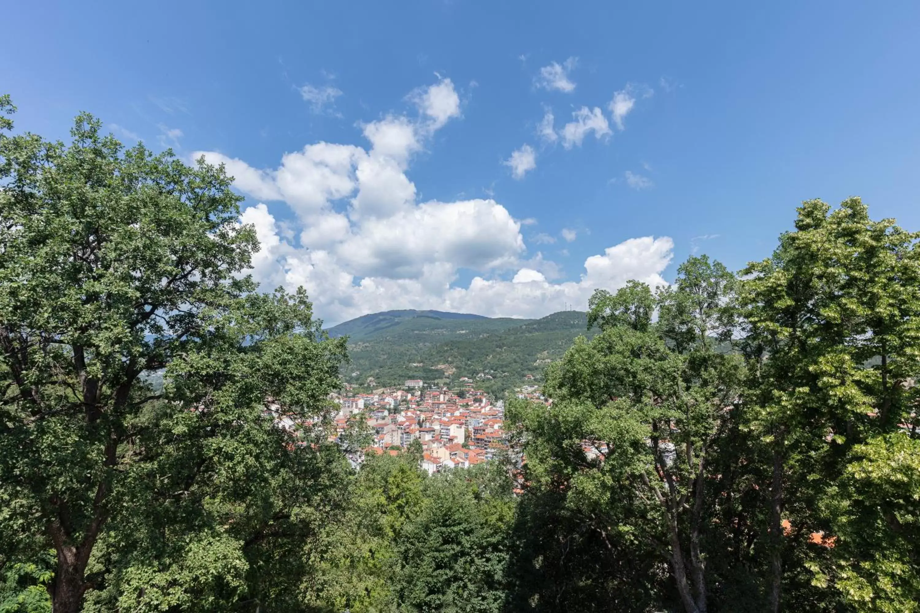 Nearby landmark, Mountain View in The Lynx Mountain Resort