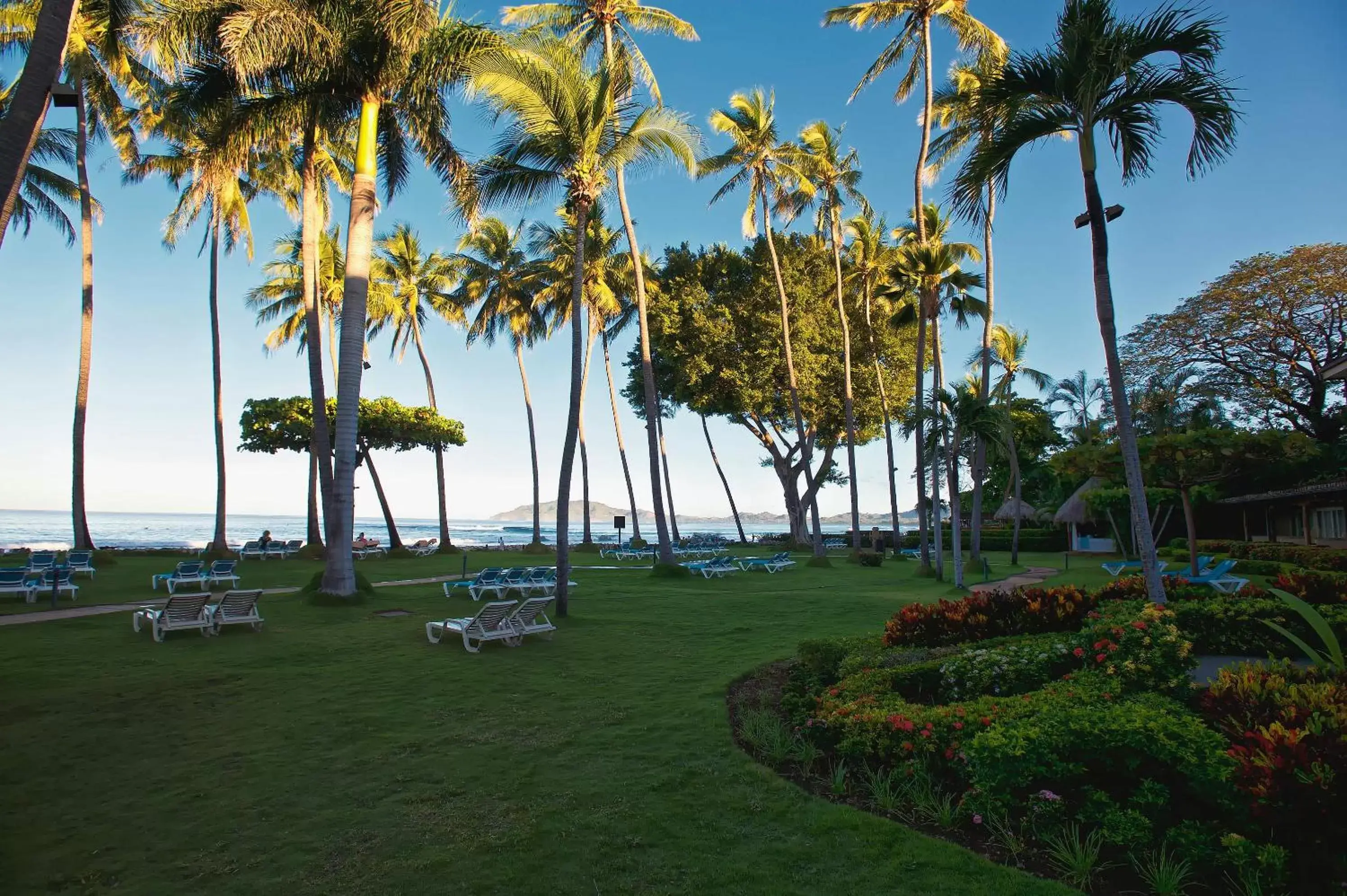 Garden in Hotel Tamarindo Diria Beach Resort