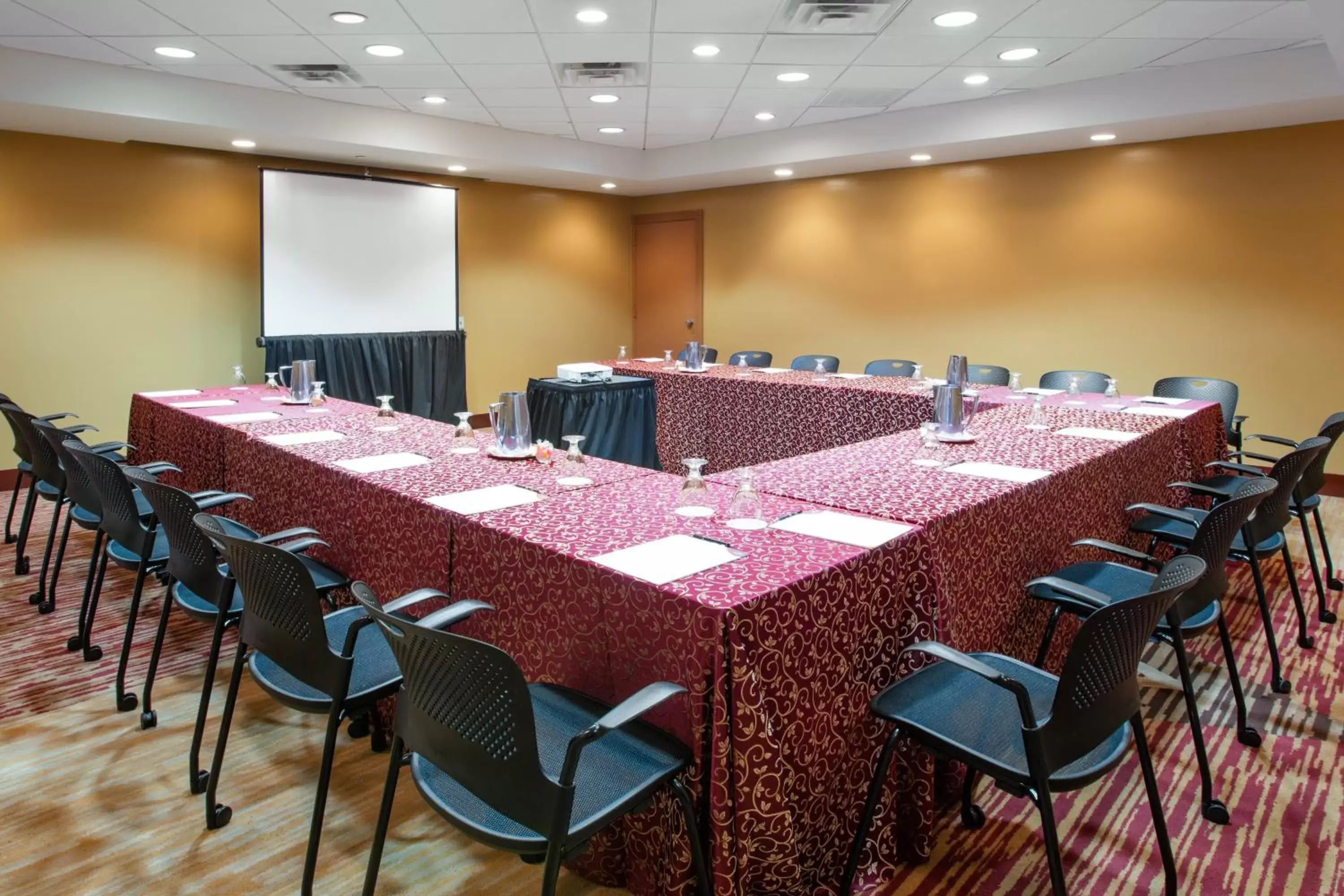 Meeting/conference room in Crowne Plaza Houston Med Ctr-Galleria Area, an IHG Hotel