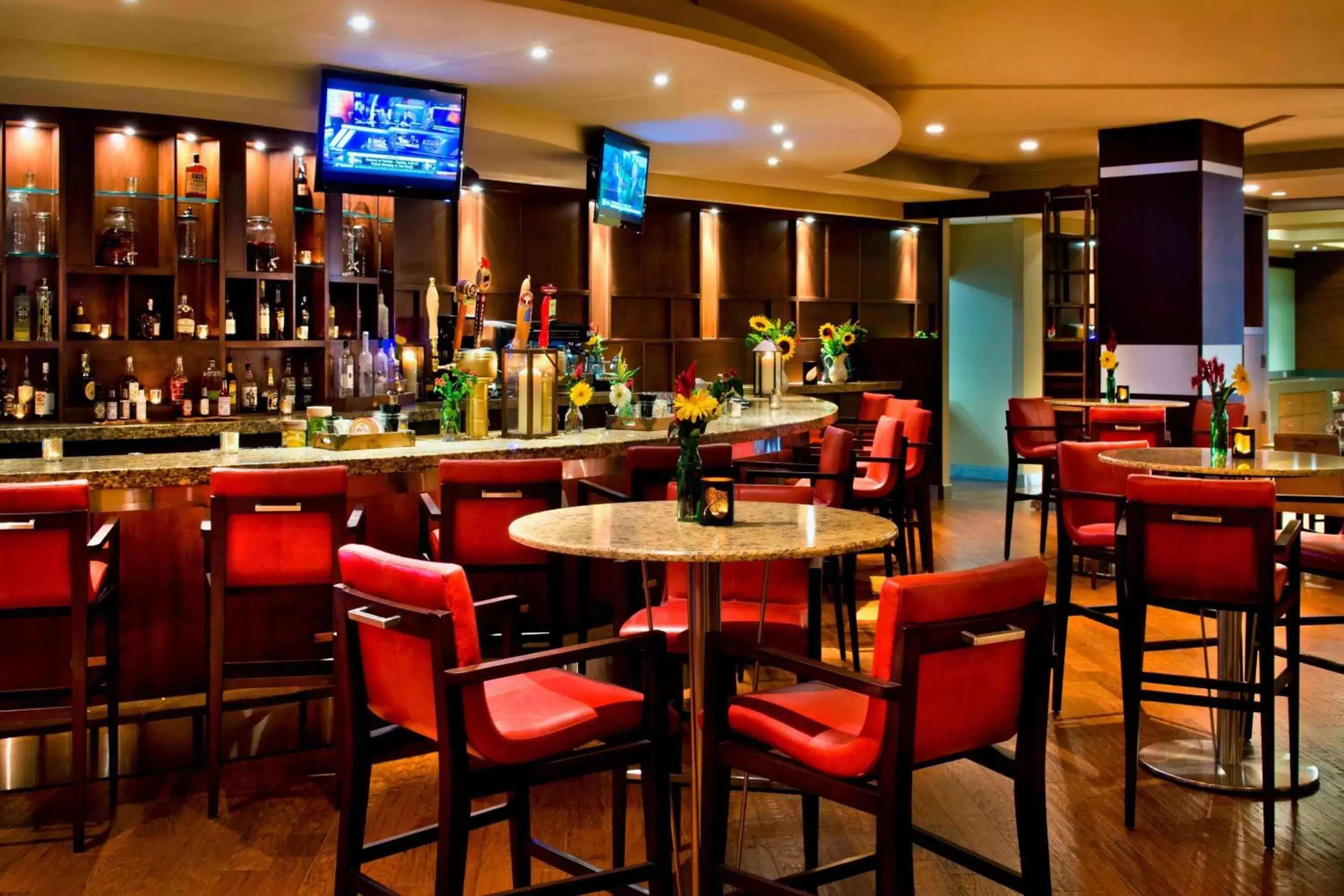 Restaurant/places to eat, Lounge/Bar in Trumbull Marriott Shelton