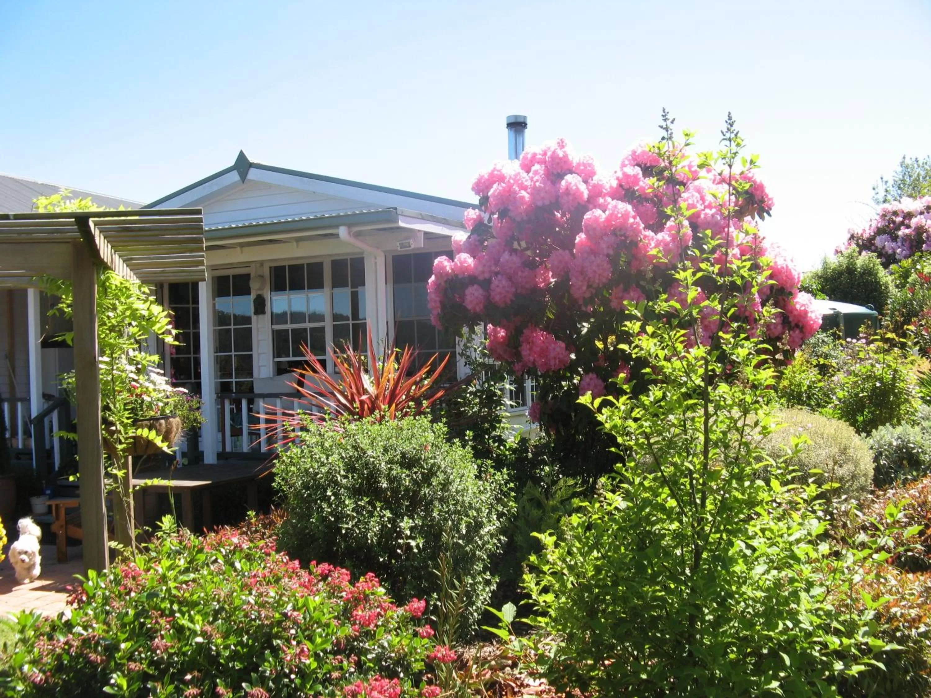 Communal lounge/ TV room in Hillside Bed and Breakfast