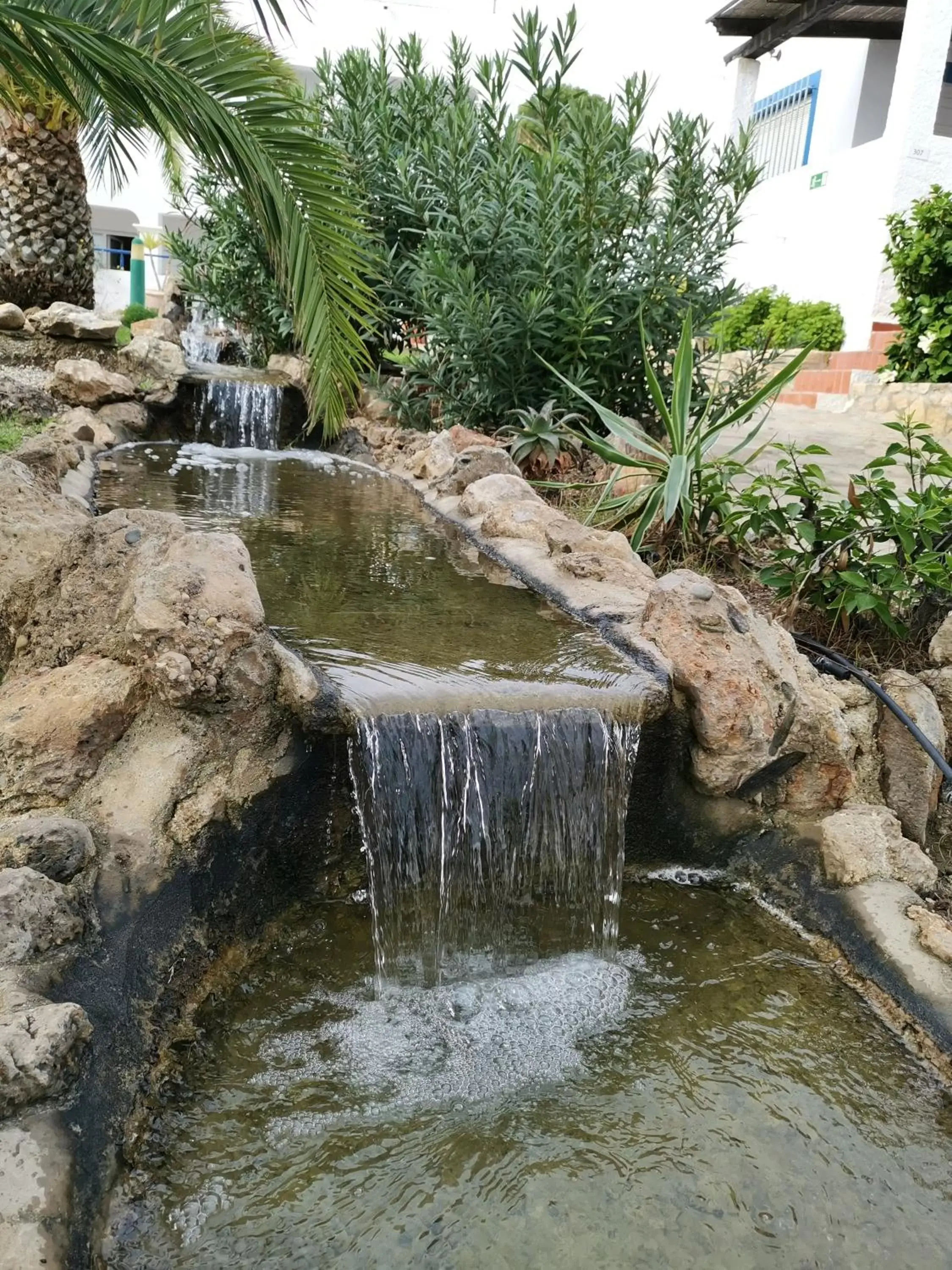 Garden in Hotel Puntazo II