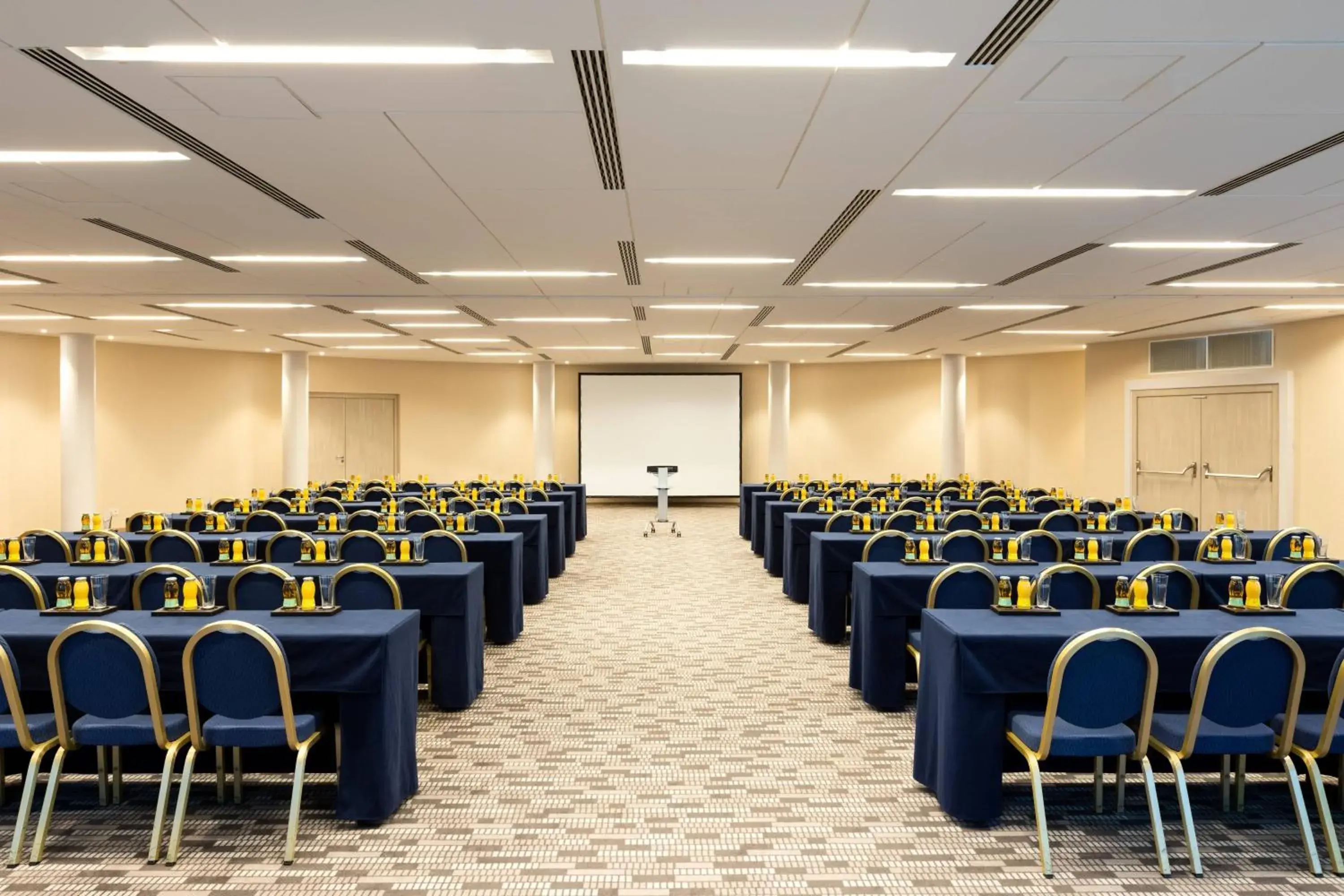 Meeting/conference room in Delta Hotels by Marriott Frankfurt Offenbach