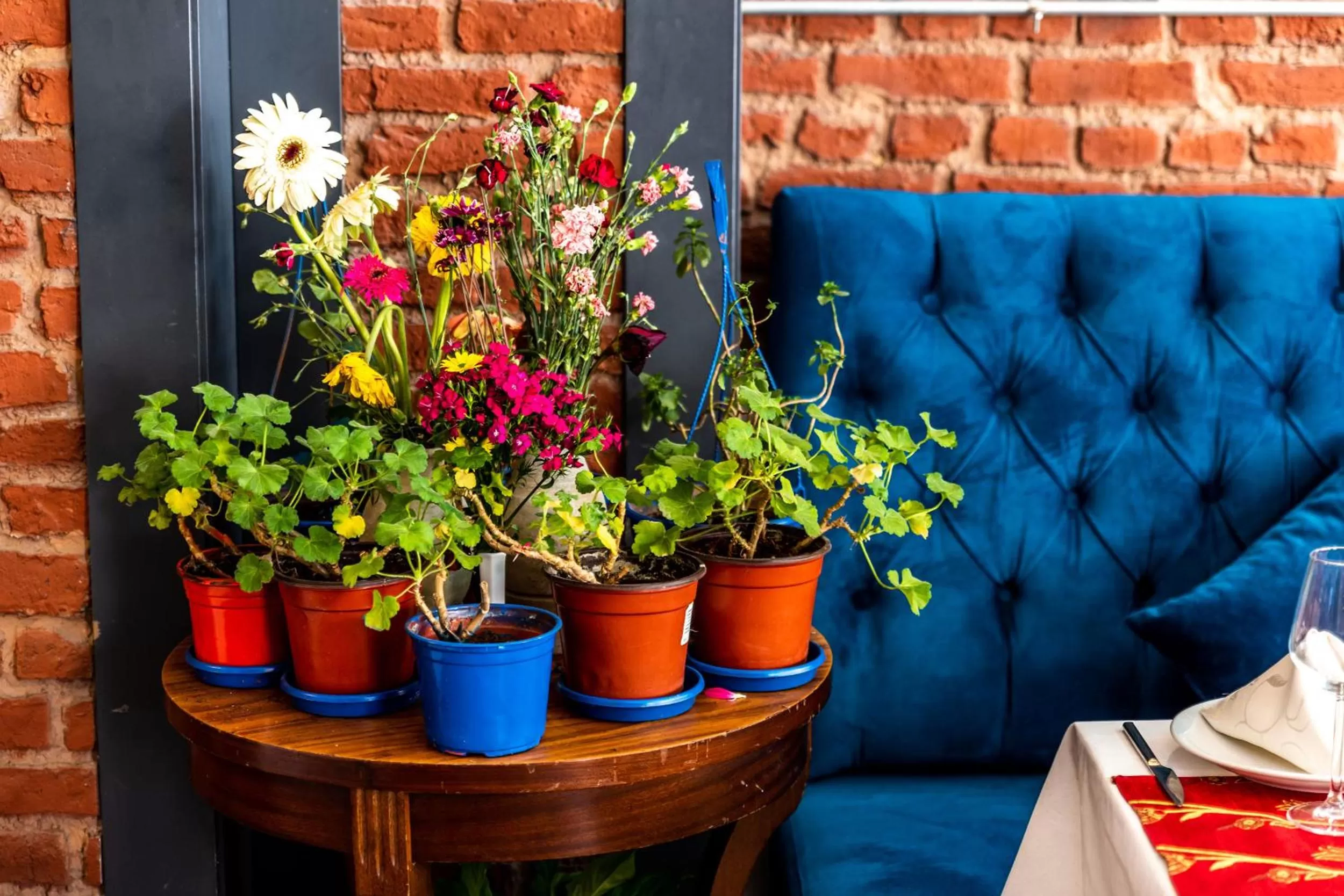 Restaurant/places to eat in Viva Deluxe Hotel