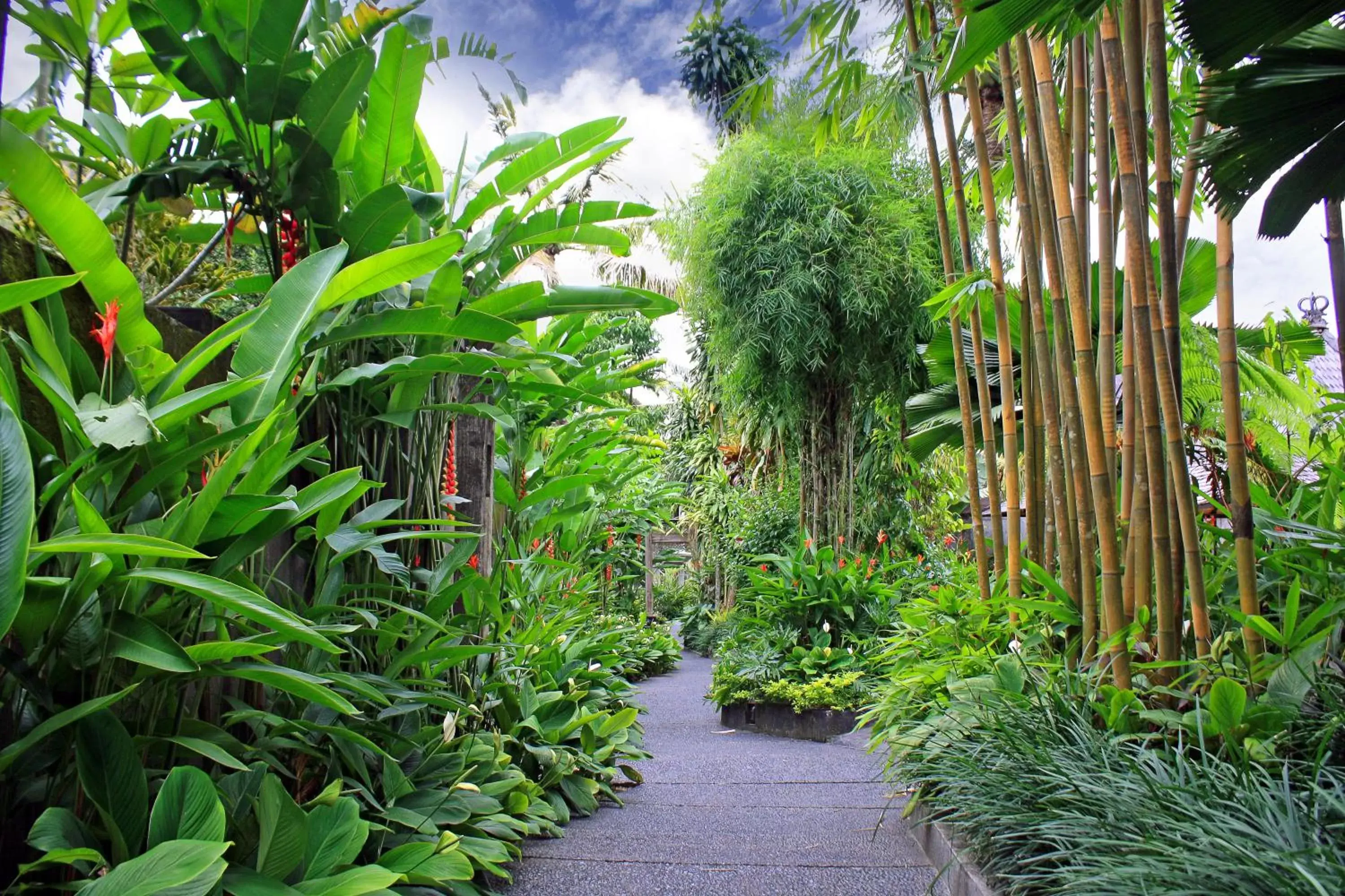 Garden in KajaNe Mua at Ubud Bali