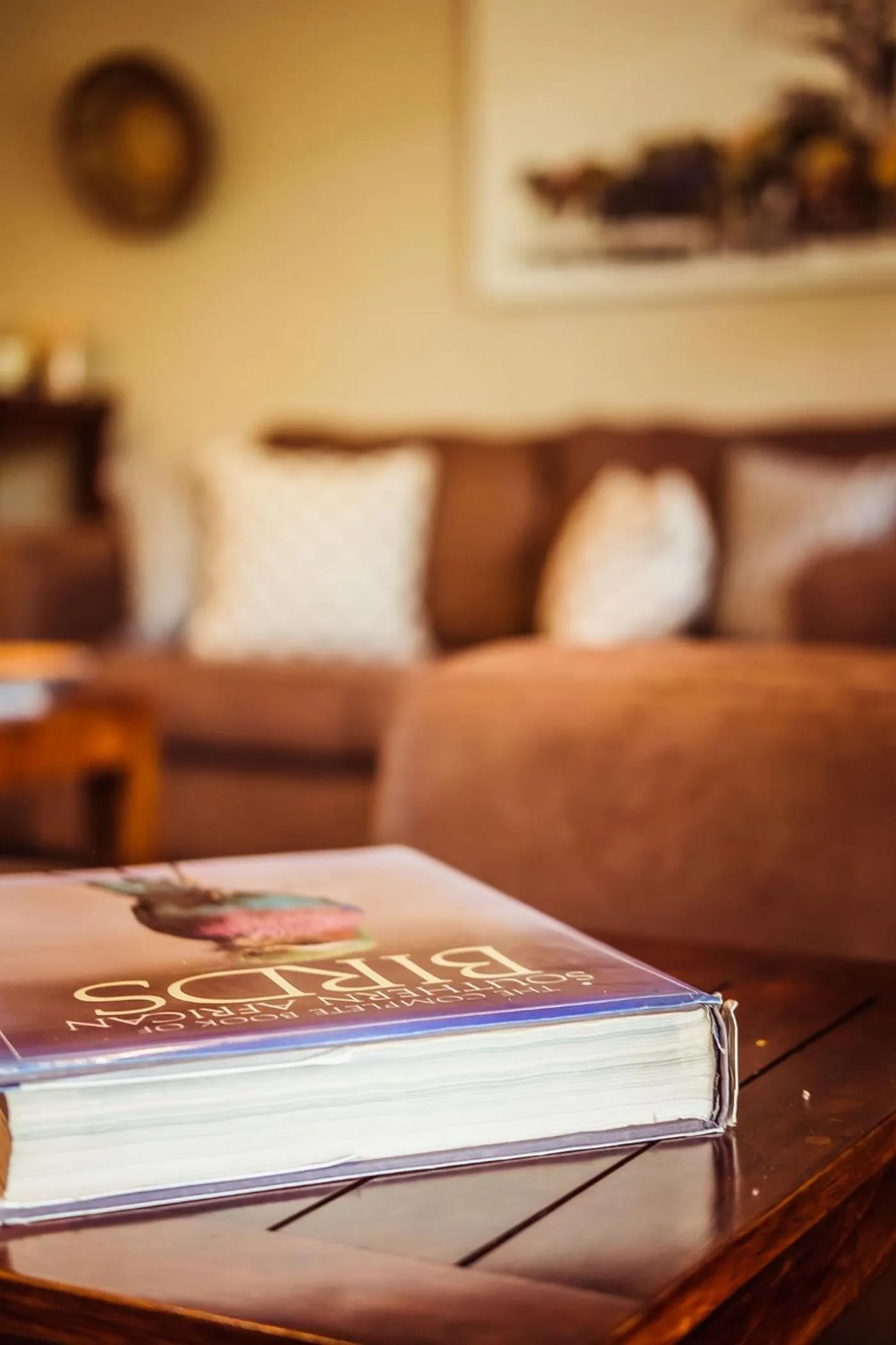 Lobby or reception in Bushveld Terrace Safari Hotel, Lodge & Spa