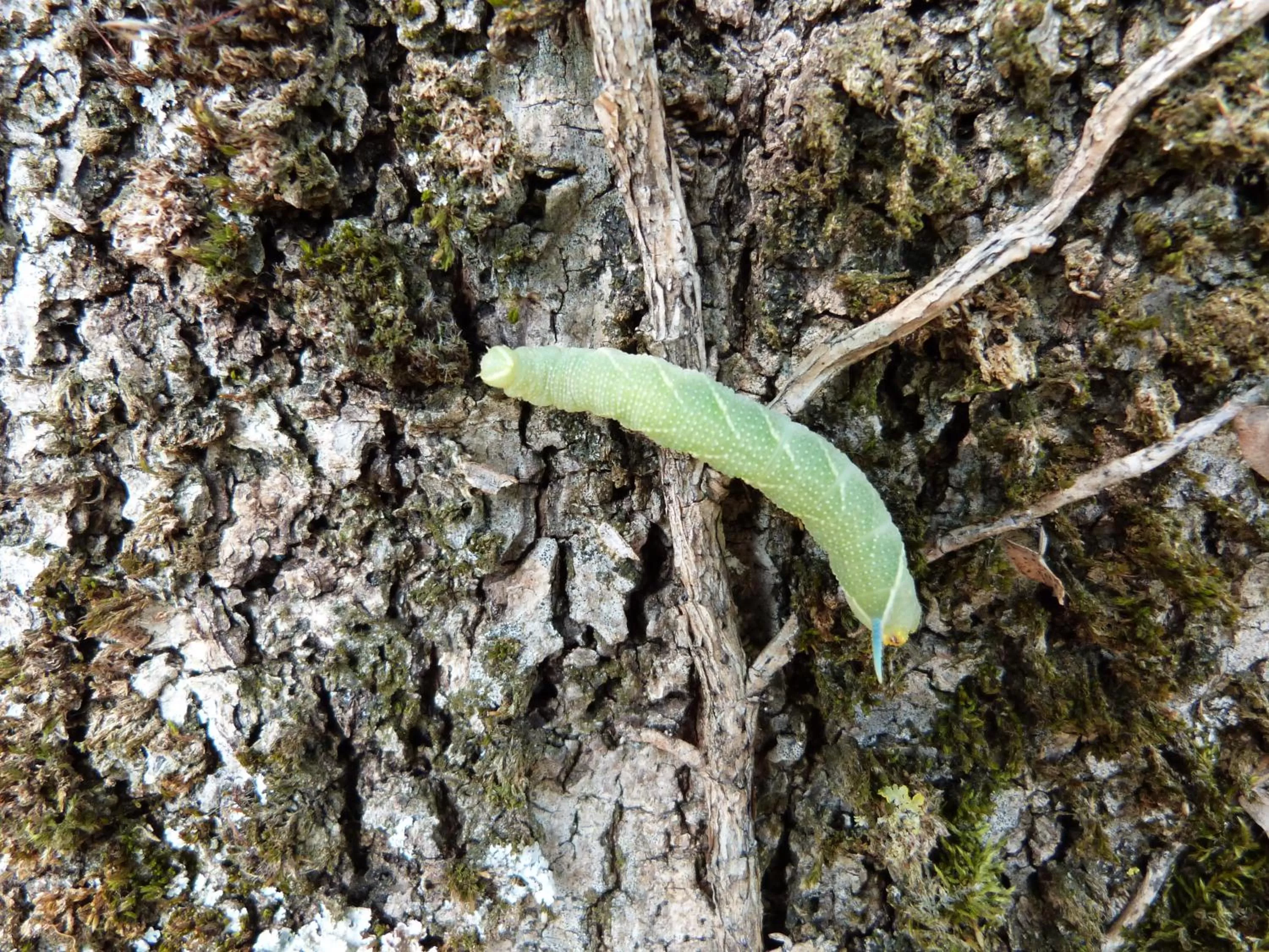 Property building in Les Rêves de Flamboin