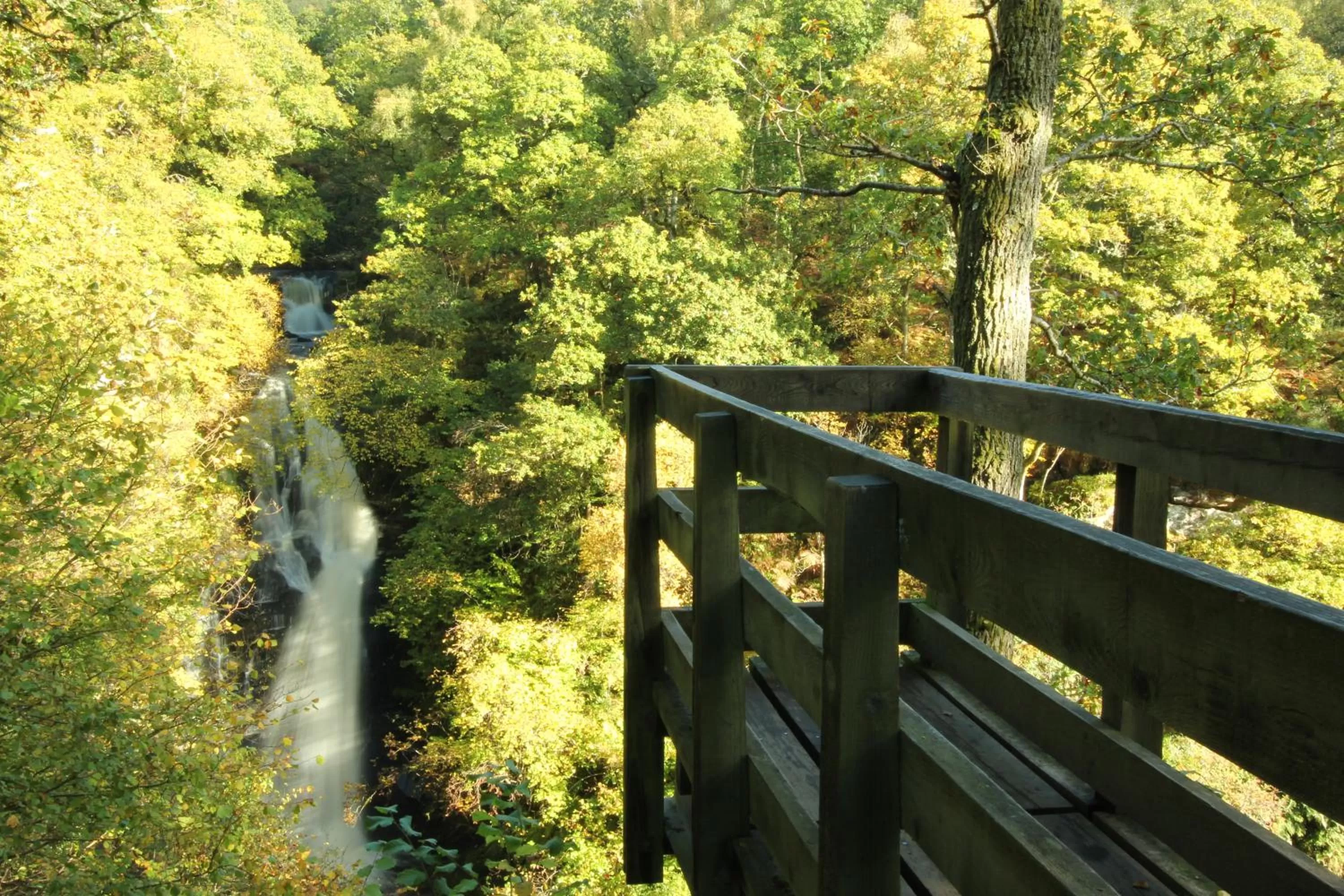 Spring in The Atholl Palace
