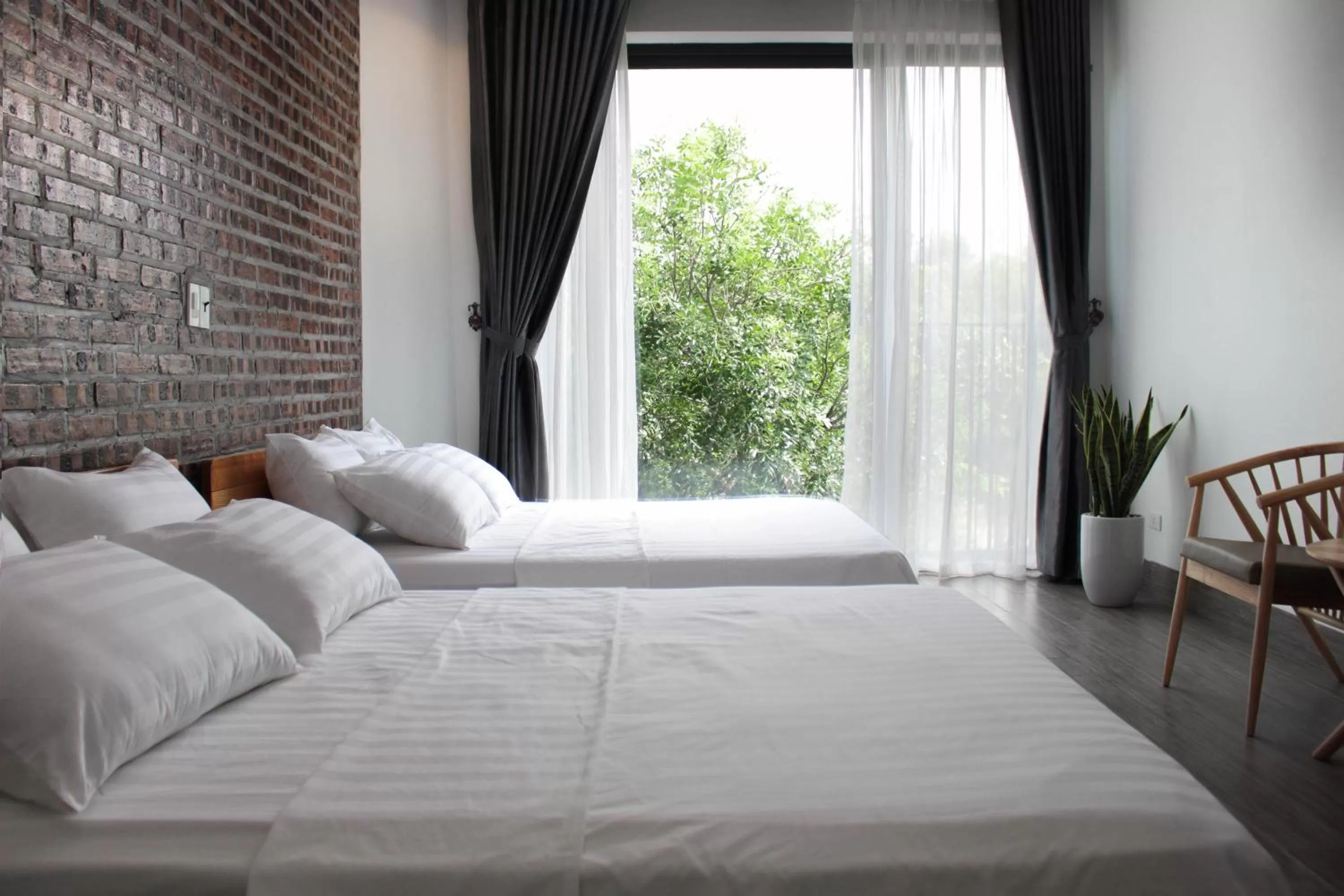 Bed in ᴛᴀᴍ ᴄᴏᴄ ᴄᴏᴄᴏᴏɴ ʜᴏᴍᴇsᴛᴀʏ