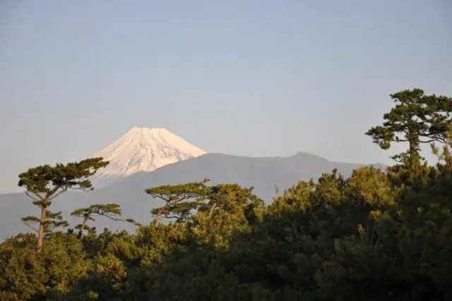 Mountain View in Minato Oasis Numazu
