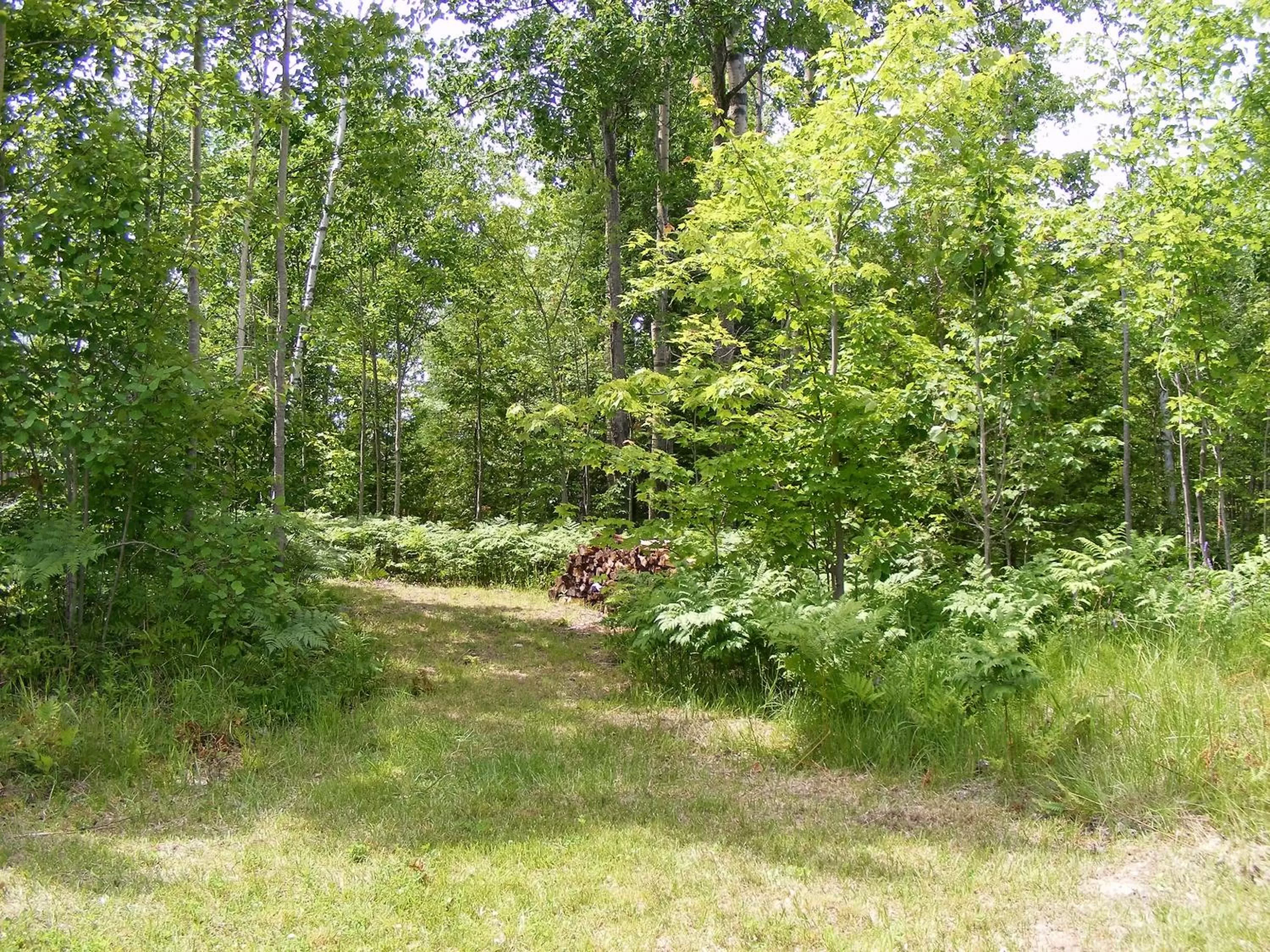 Natural landscape, Garden in Gite L'Antre d'Eux