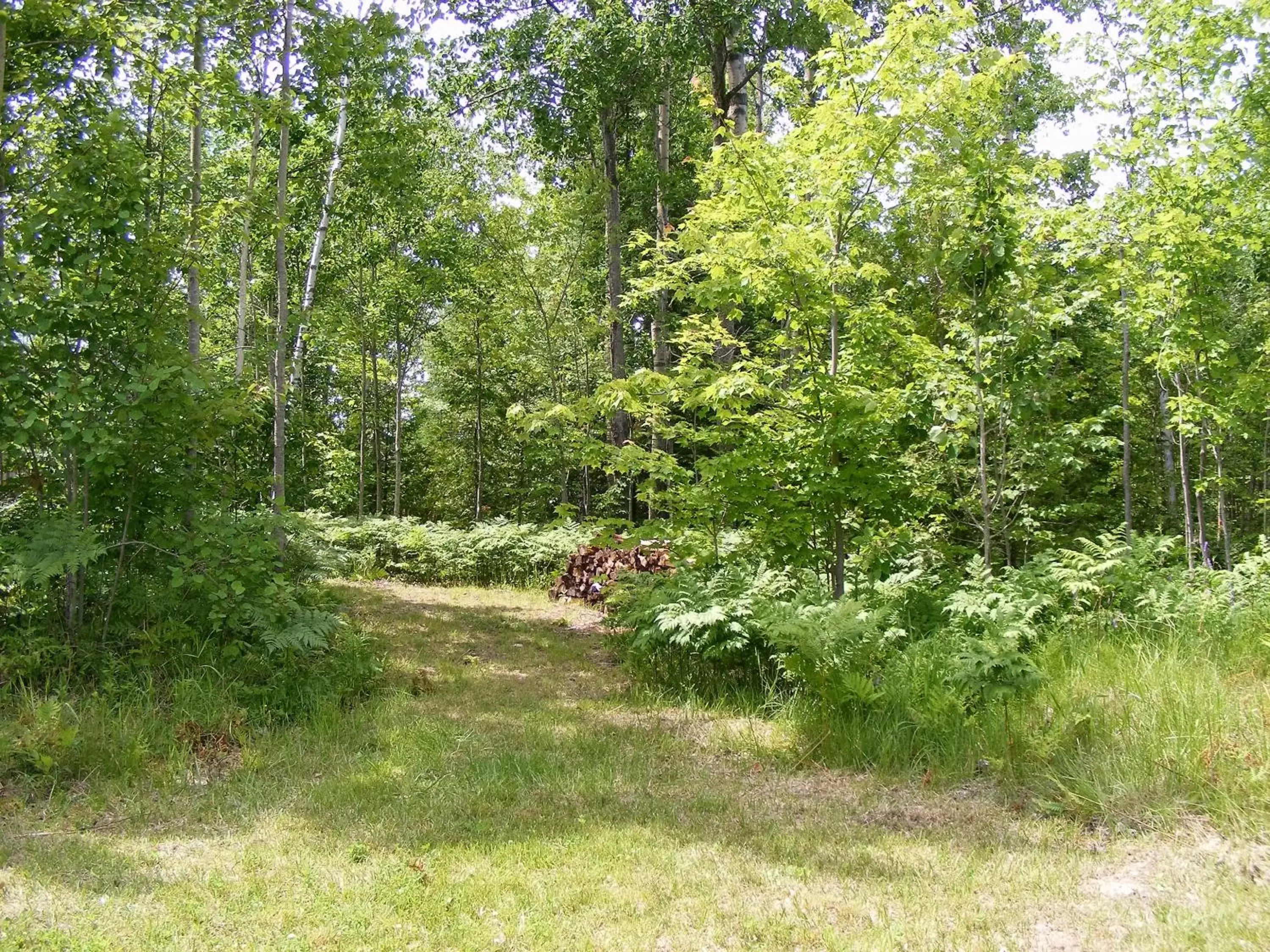 Natural landscape, Garden in Gite L'Antre d'Eux