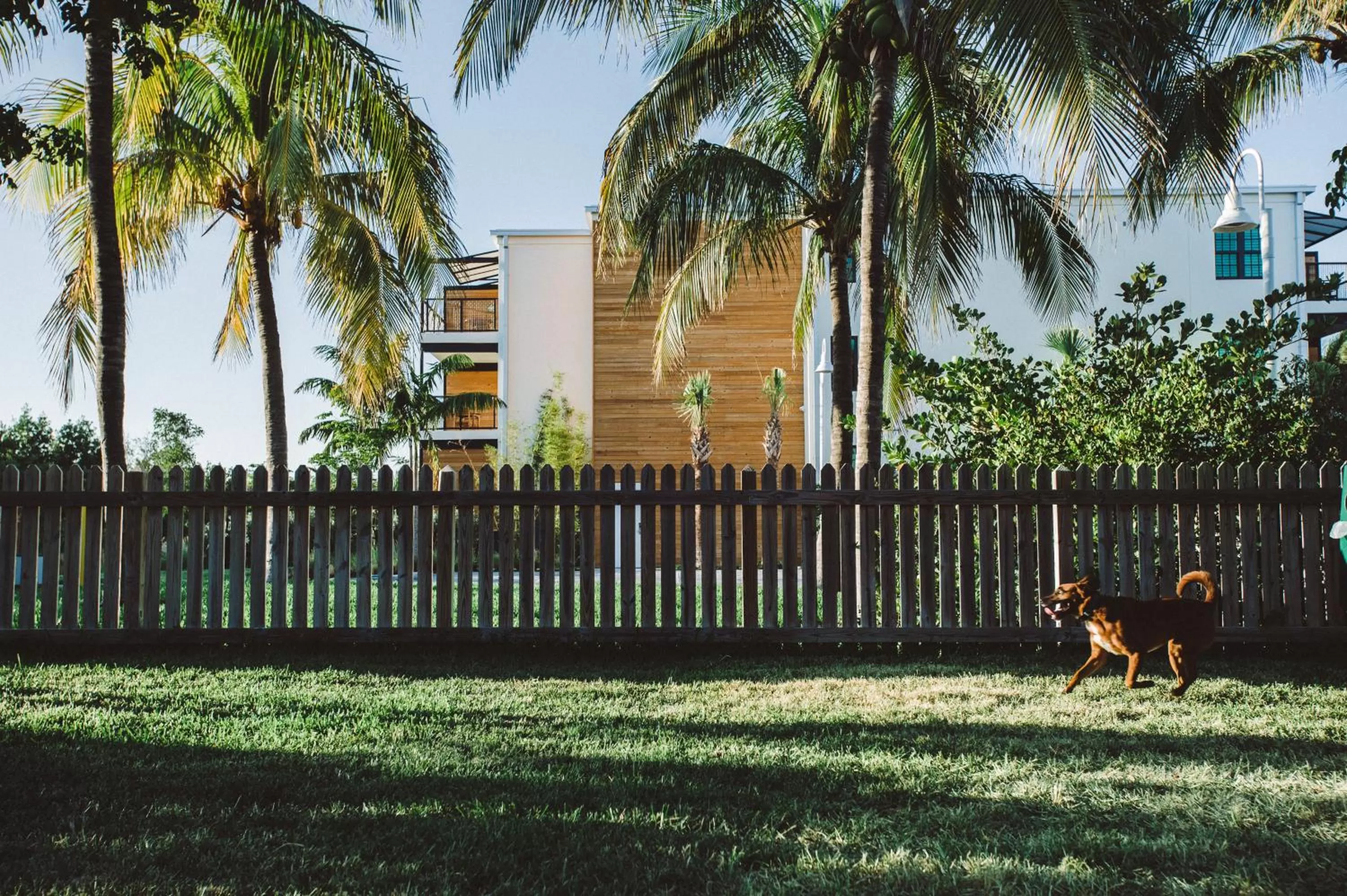 Pets in The Perry Hotel & Marina Key West