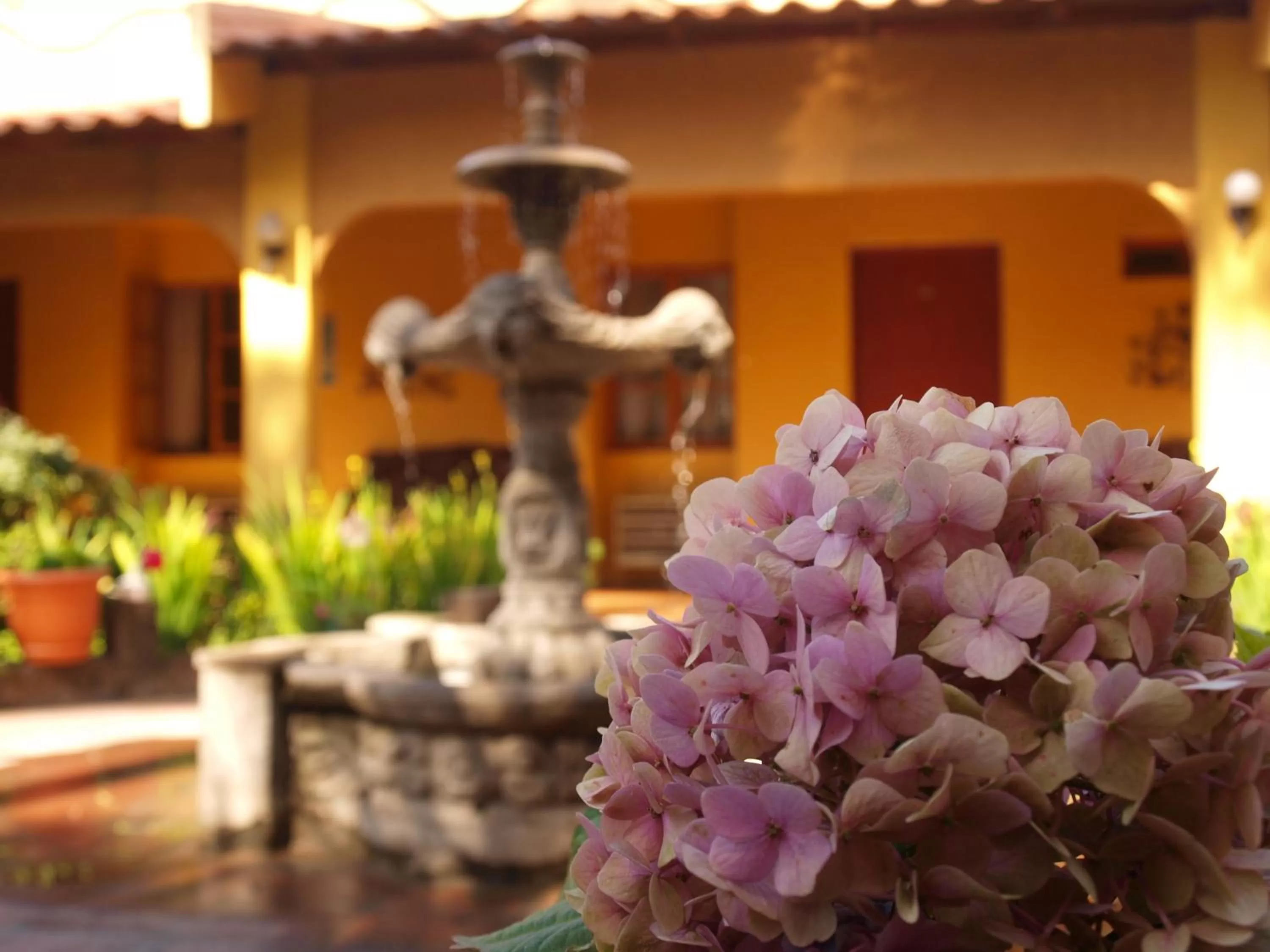 Hotel Mediterraneo Plaza