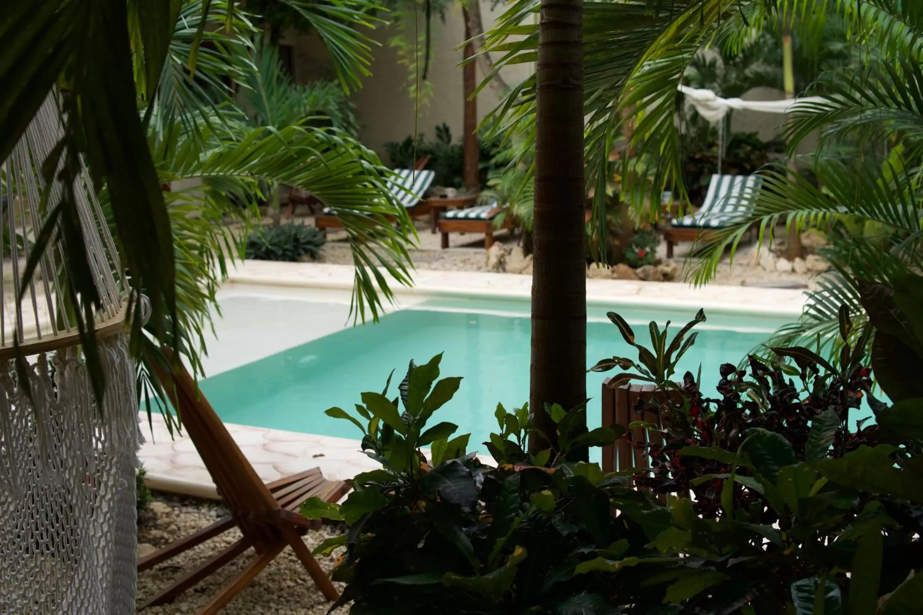 Day, Swimming Pool in Aldea San Lam - Oasis Of Tulum