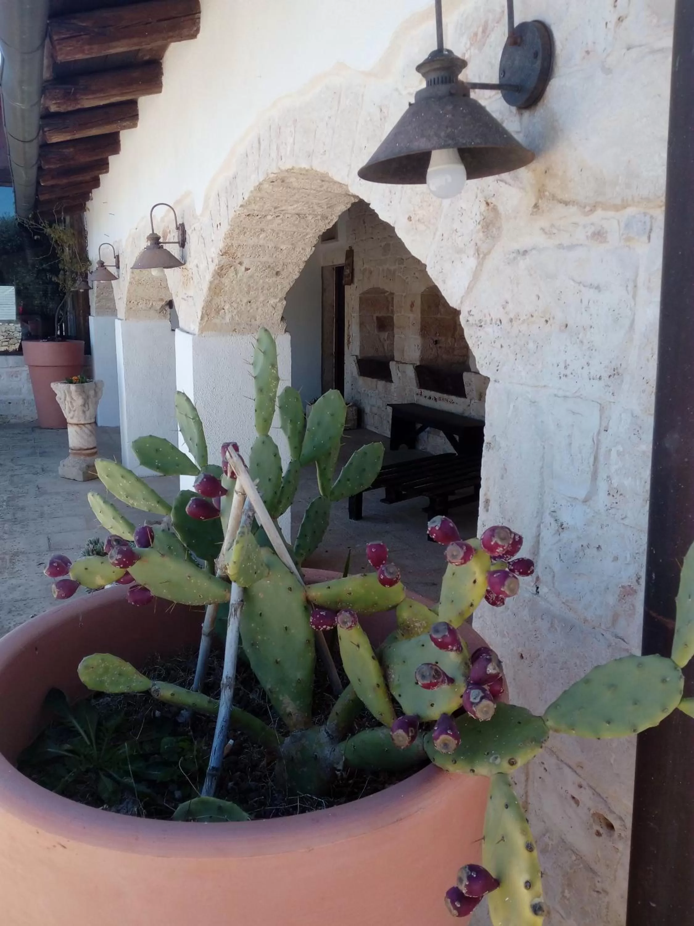 Day in Agriturismo Masseria Alberotanza