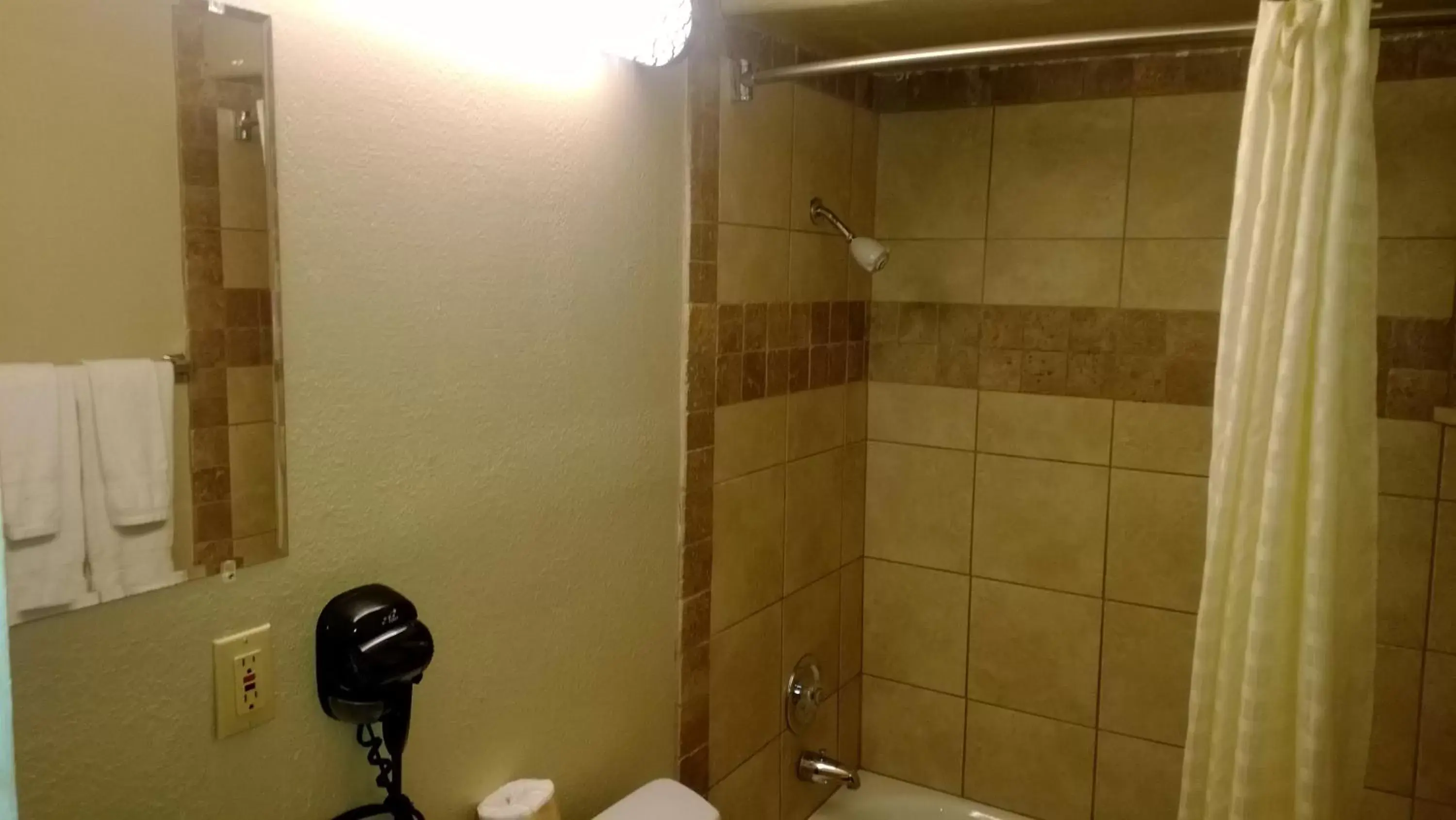Shower, Bathroom in Downtown Value Inn