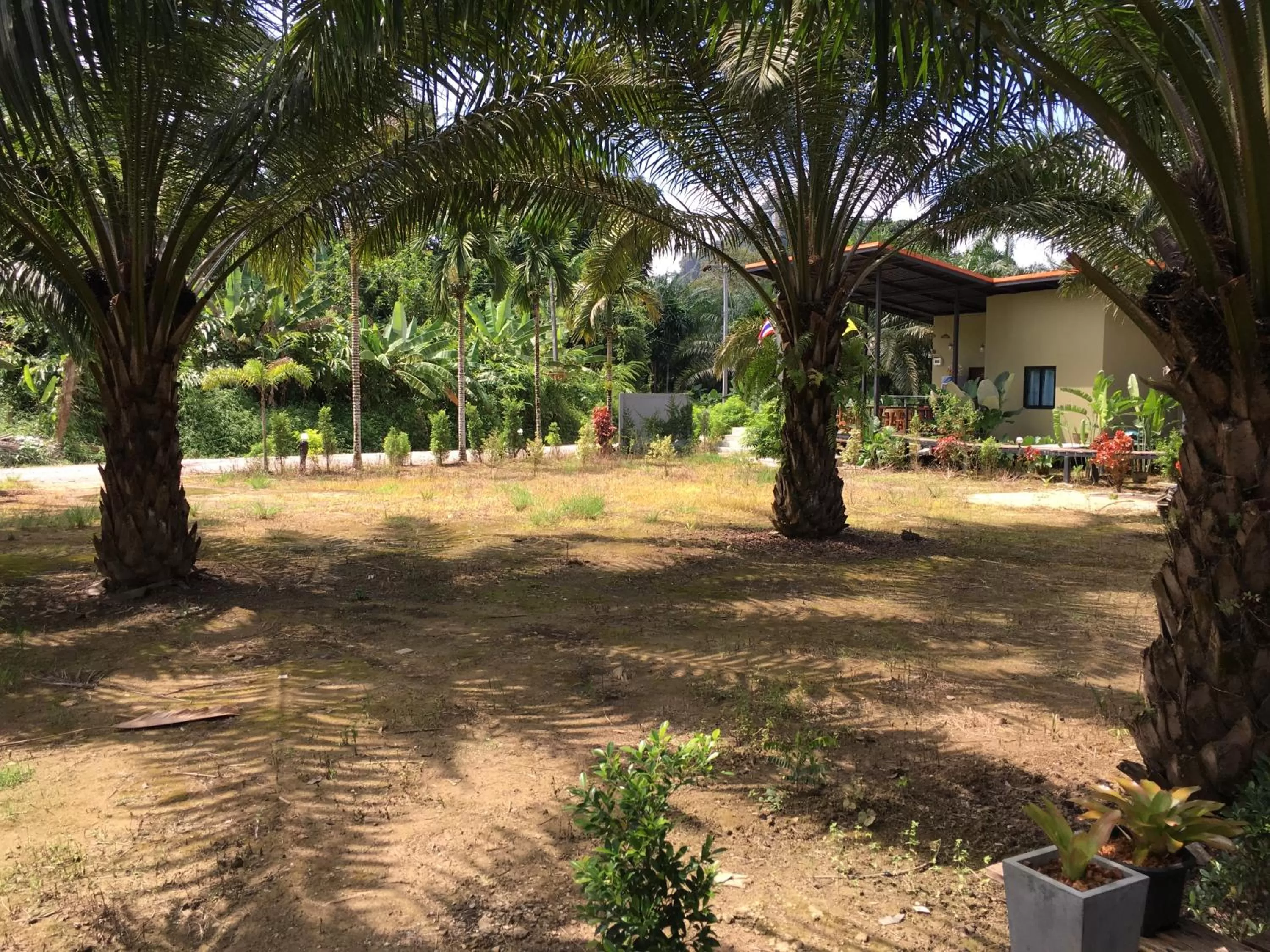 Inner courtyard view in Khao Sok Residence Resort