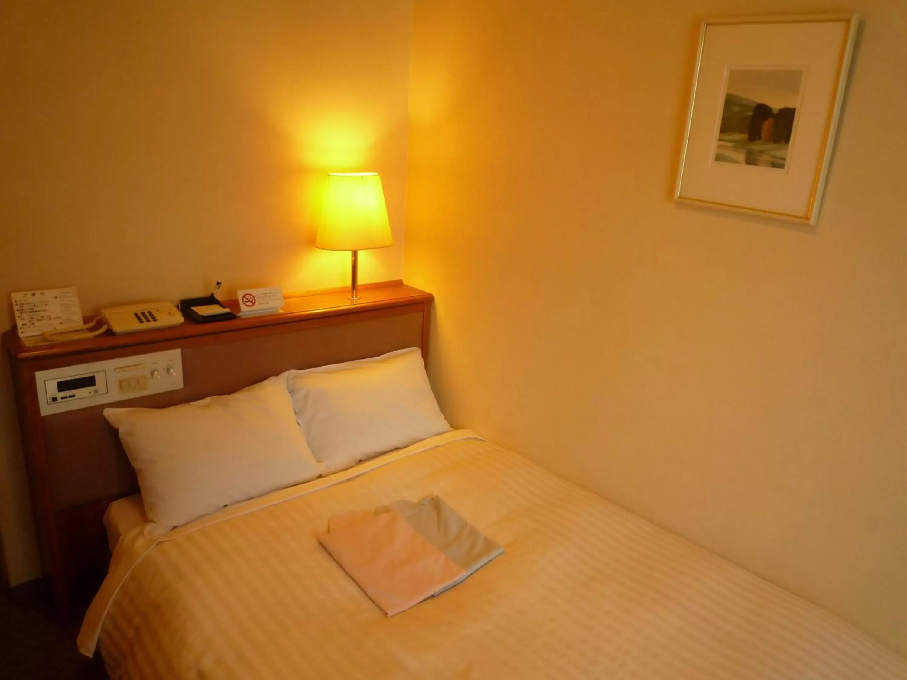 Photo of the whole room, Room Photo in Hotel Crown Hills Koriyama