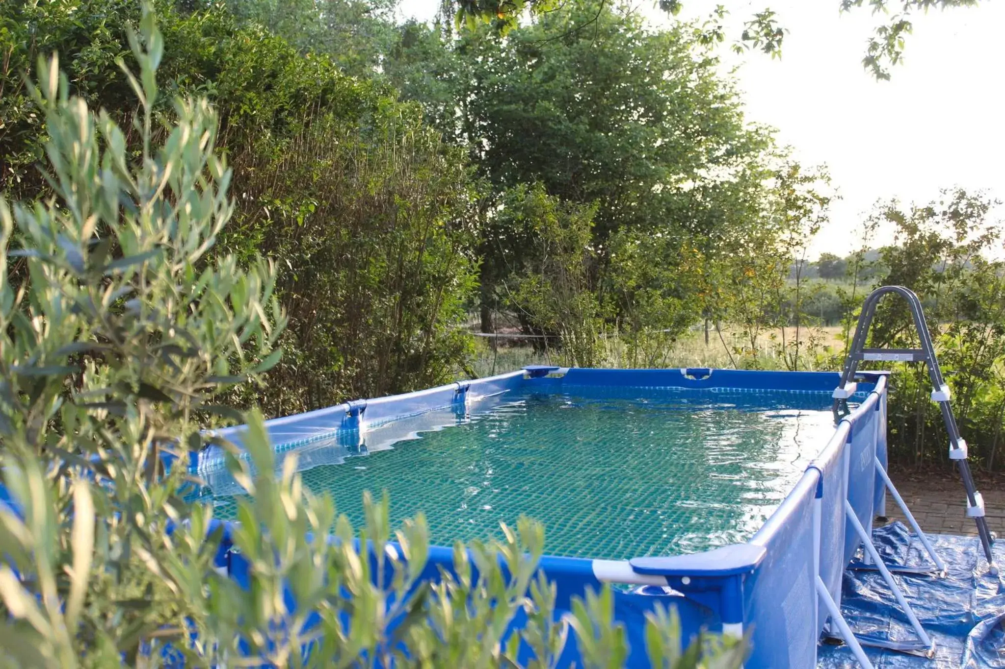 Swimming Pool in B&B Johannes-Hoeve