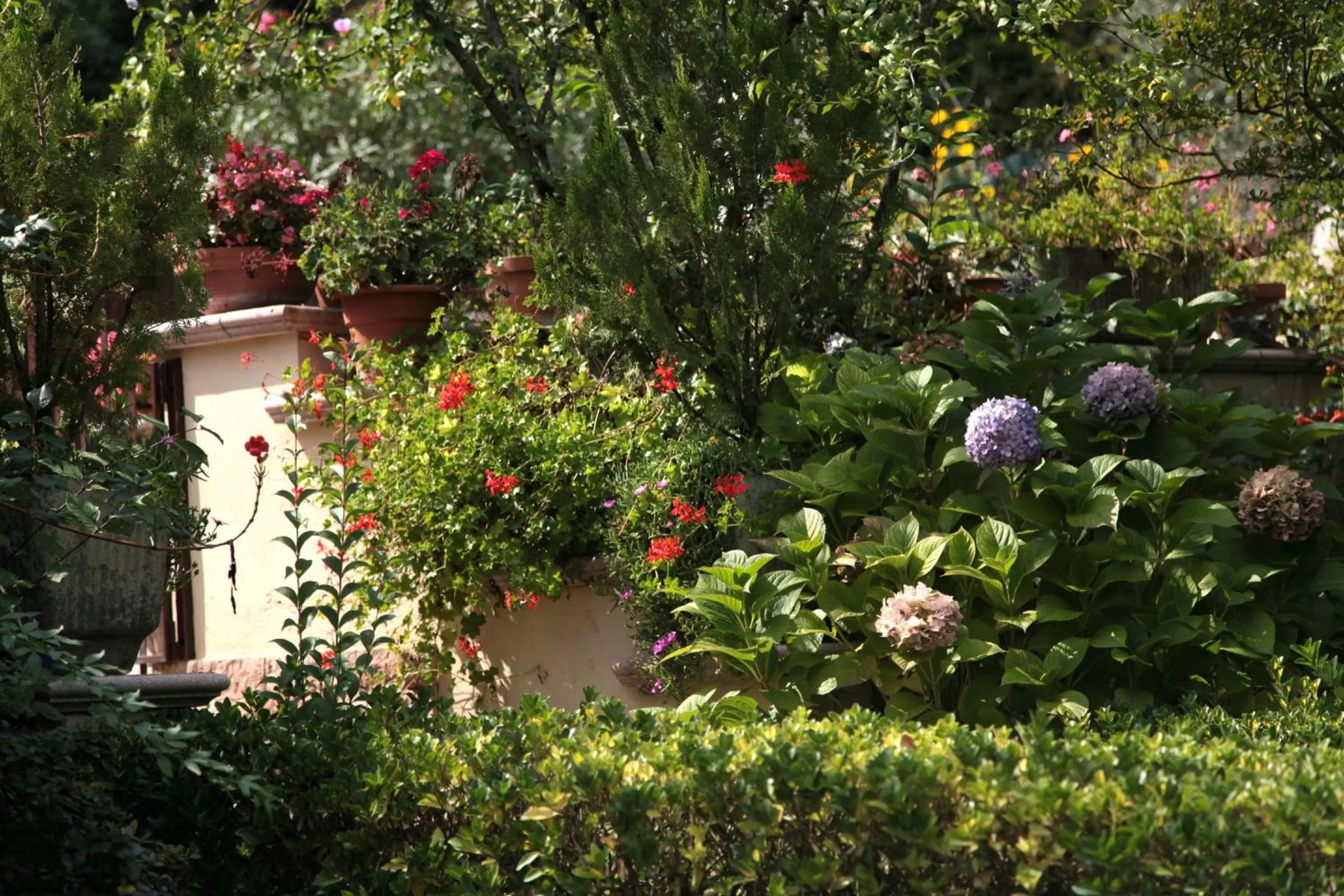Facade/entrance in Casa del Girasole
