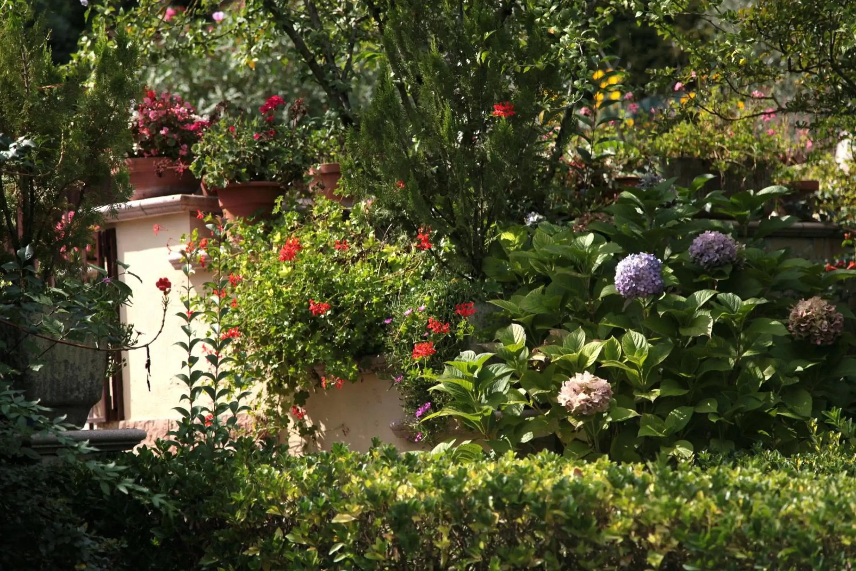 Facade/entrance, Garden in Casa del Girasole