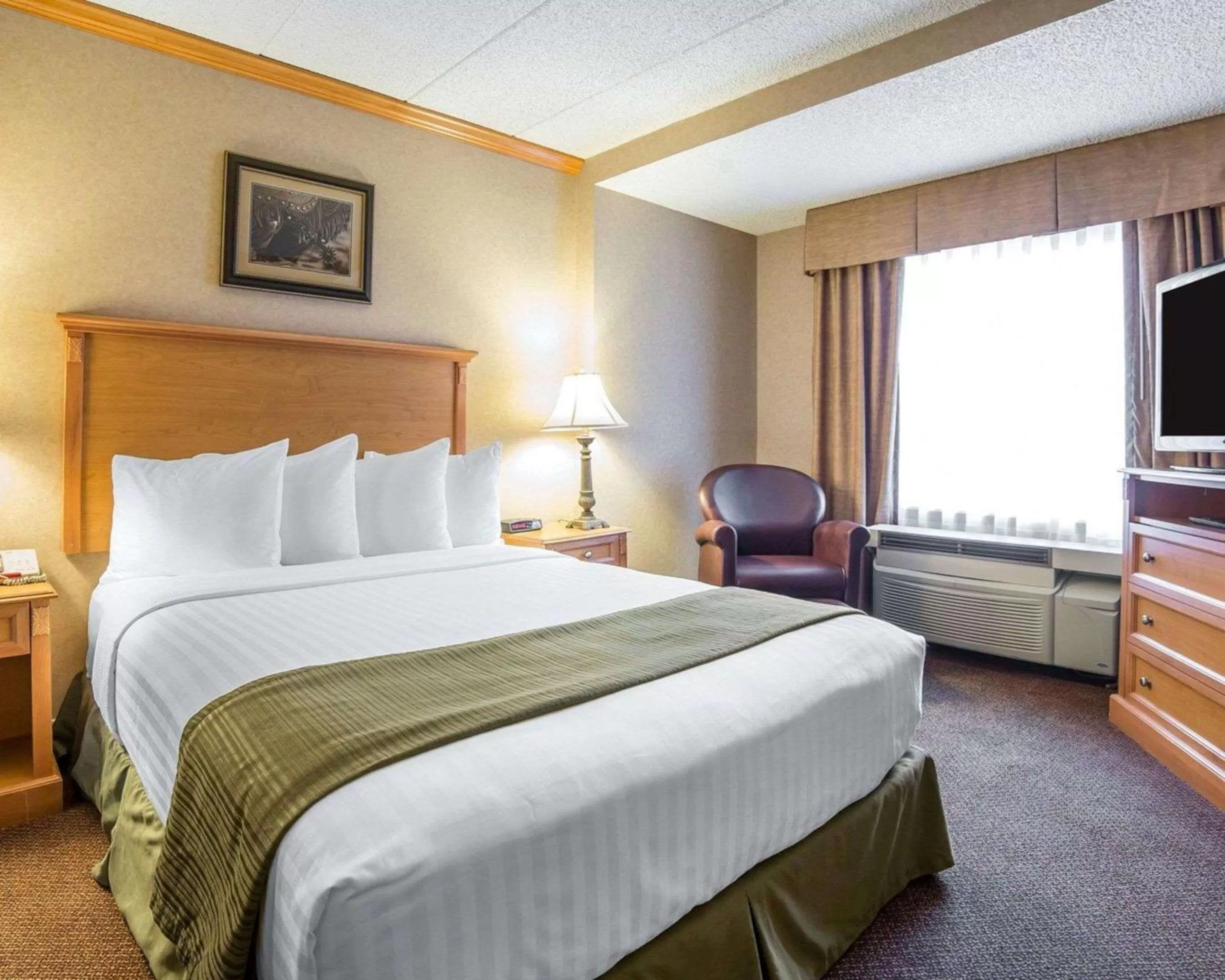 Photo of the whole room, Bed in Quality Inn & Suites Casper near Event Center