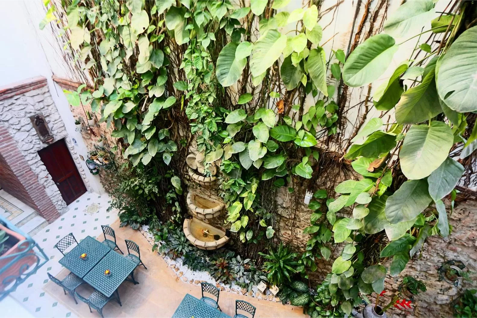 Garden view in Hotel Casa La Fe