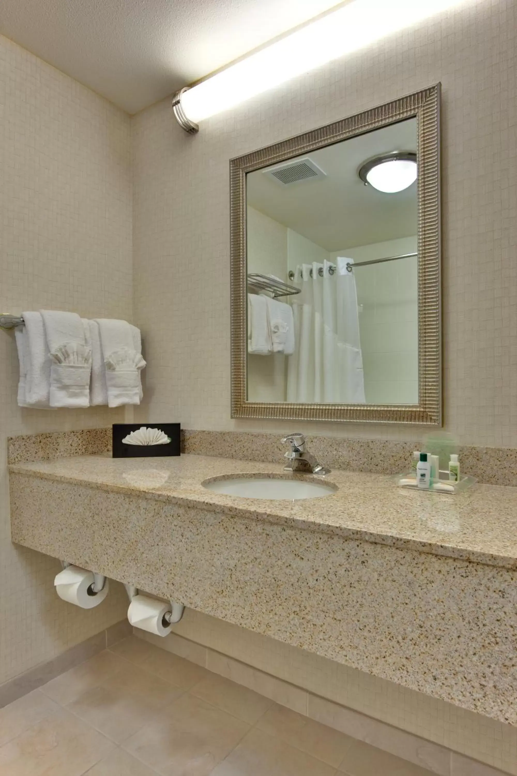 Bathroom in Holiday Inn Hotel & Suites Bakersfield, an IHG Hotel