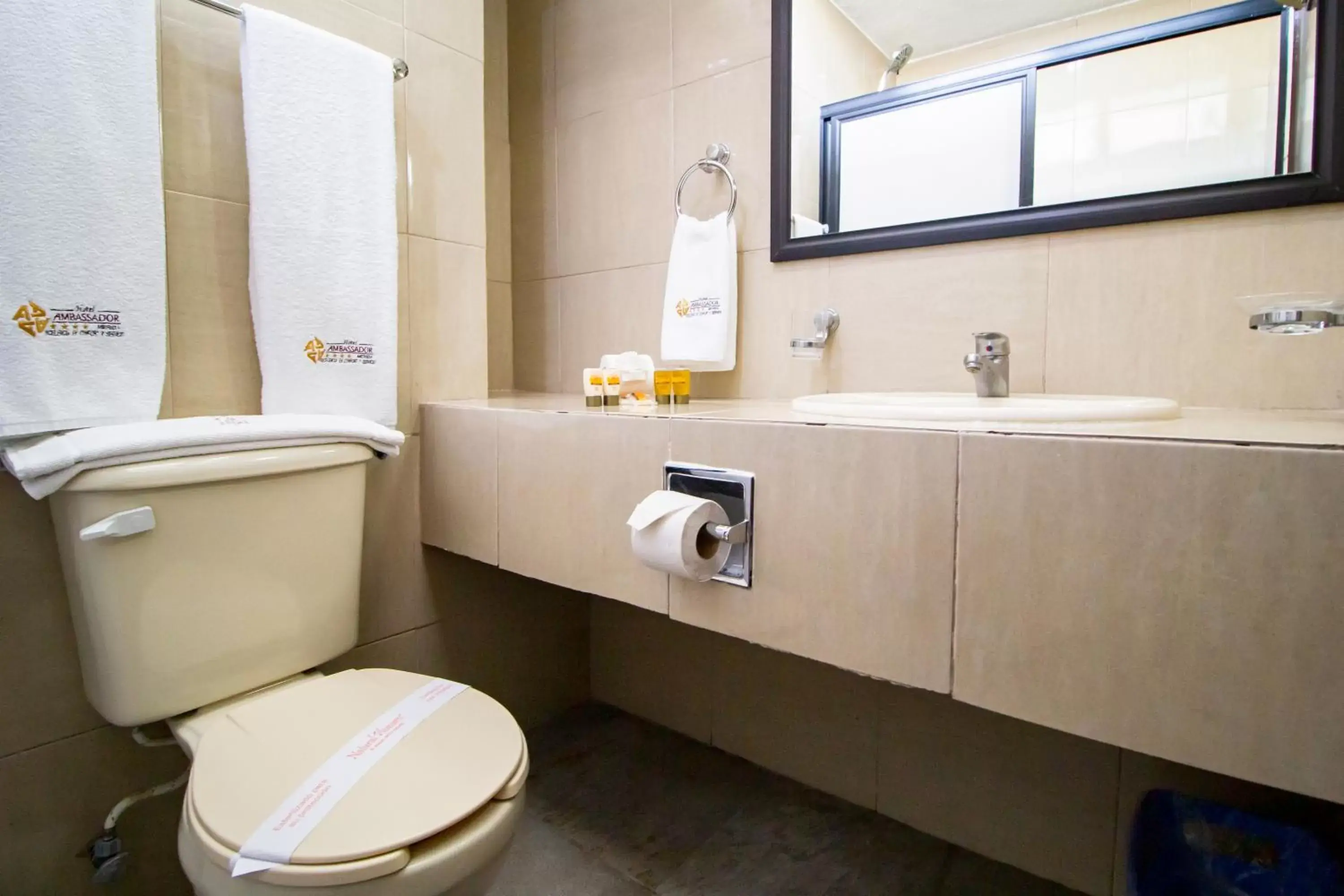 Toilet, Bathroom in Hotel Ambassador Mérida