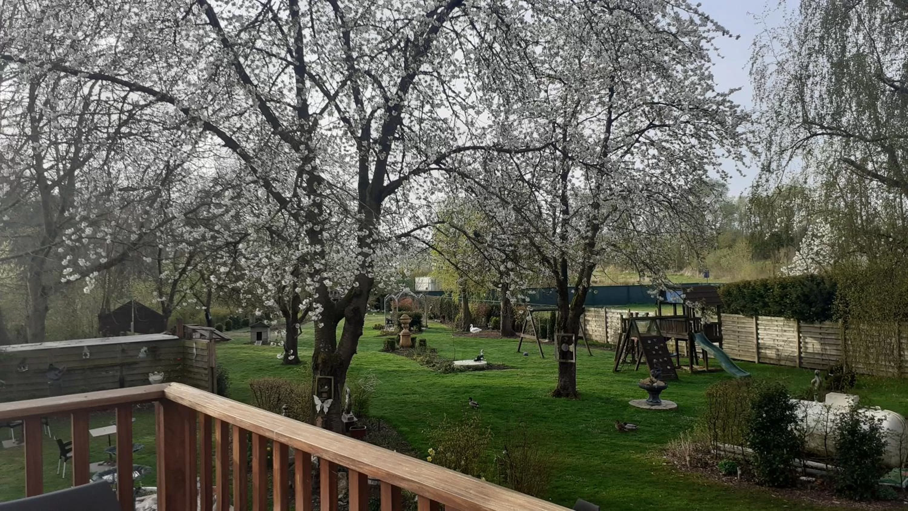 Garden view in B&B De Dubbelmolen