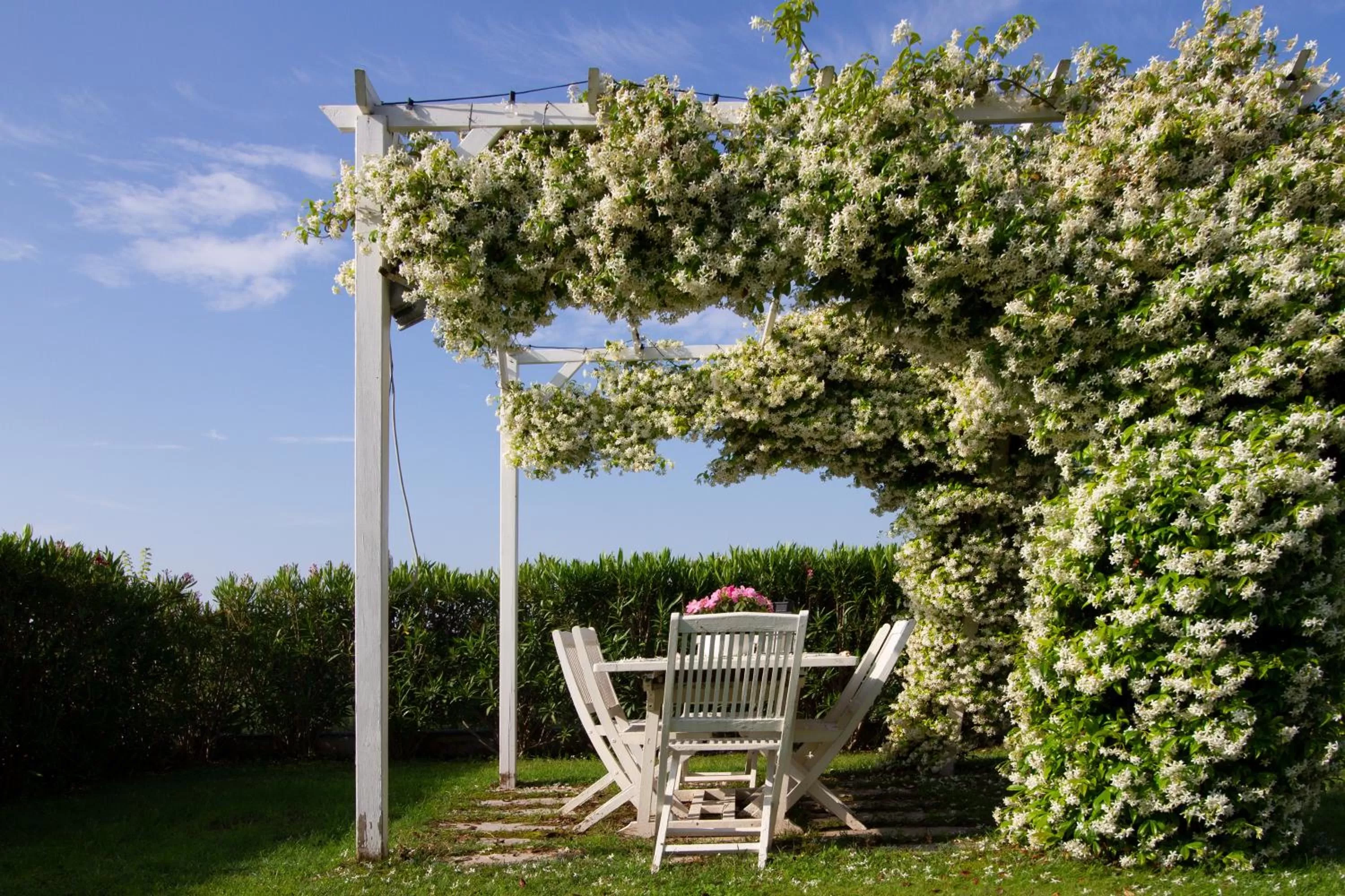 Garden in B&B Sovenigo