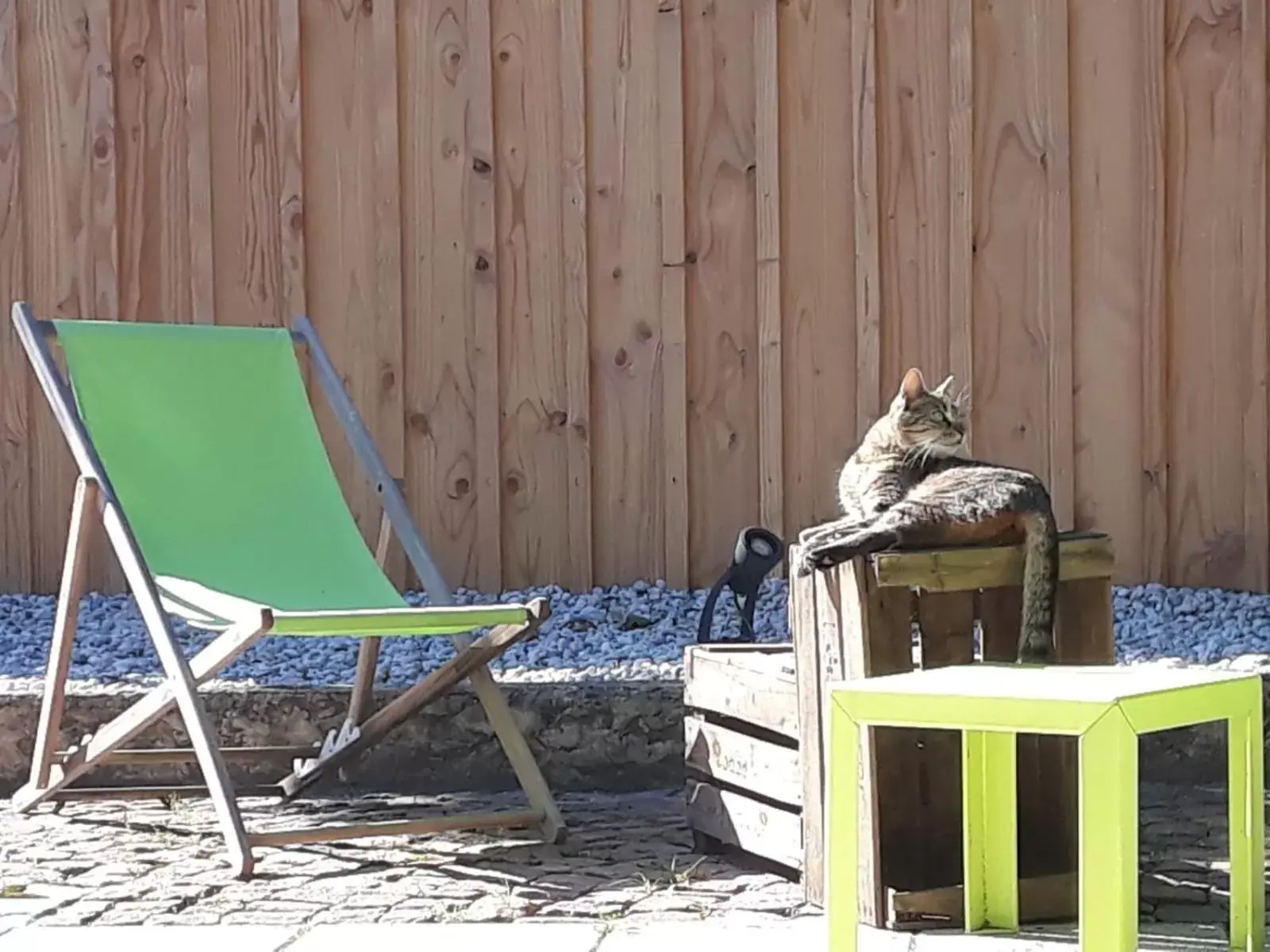 Pets in VILLA HERBERT Chambres d'hôtes Gîte Soirée étape