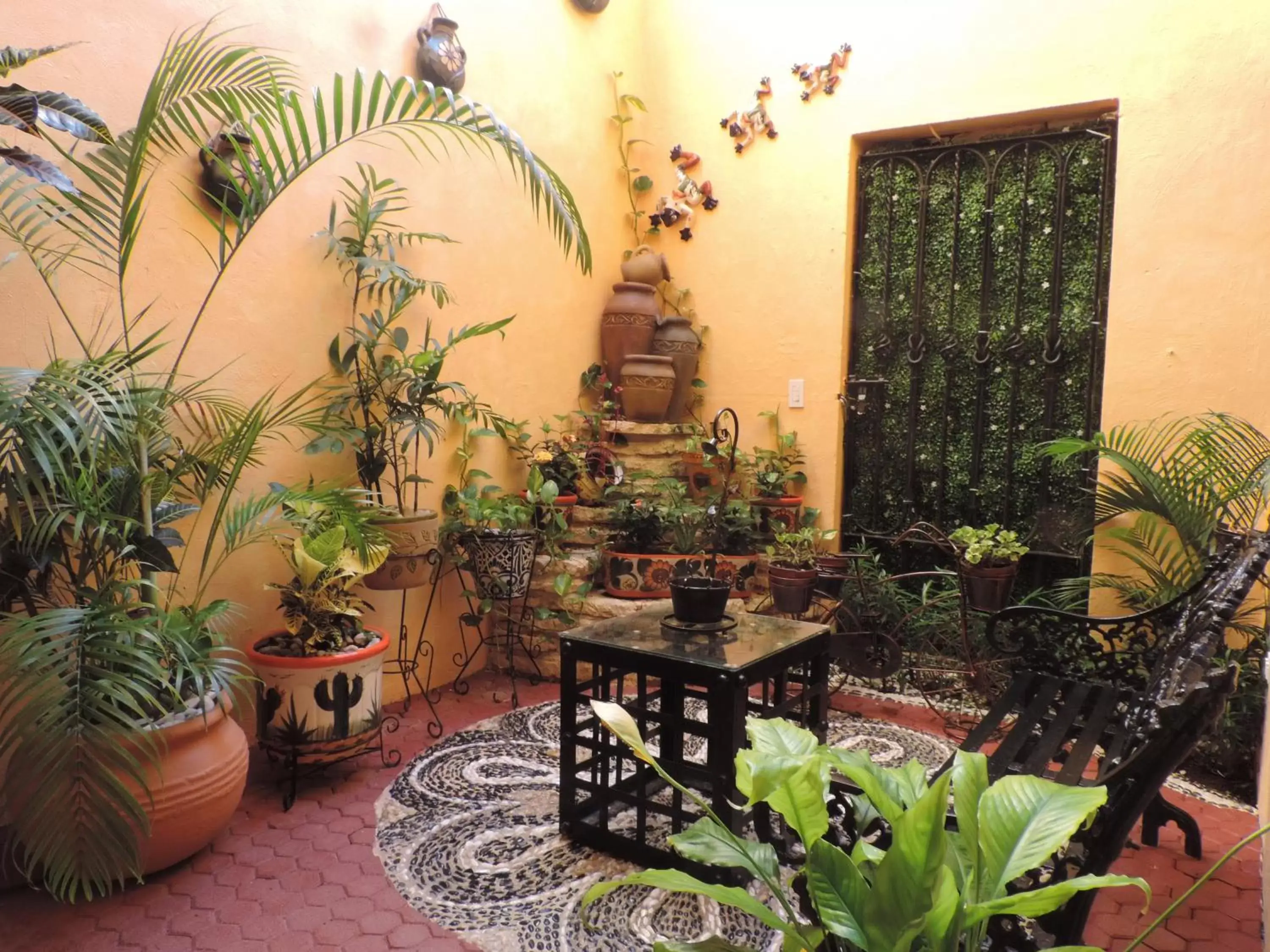 Garden, Patio/Outdoor Area in Hacienda Del Caribe Hotel
