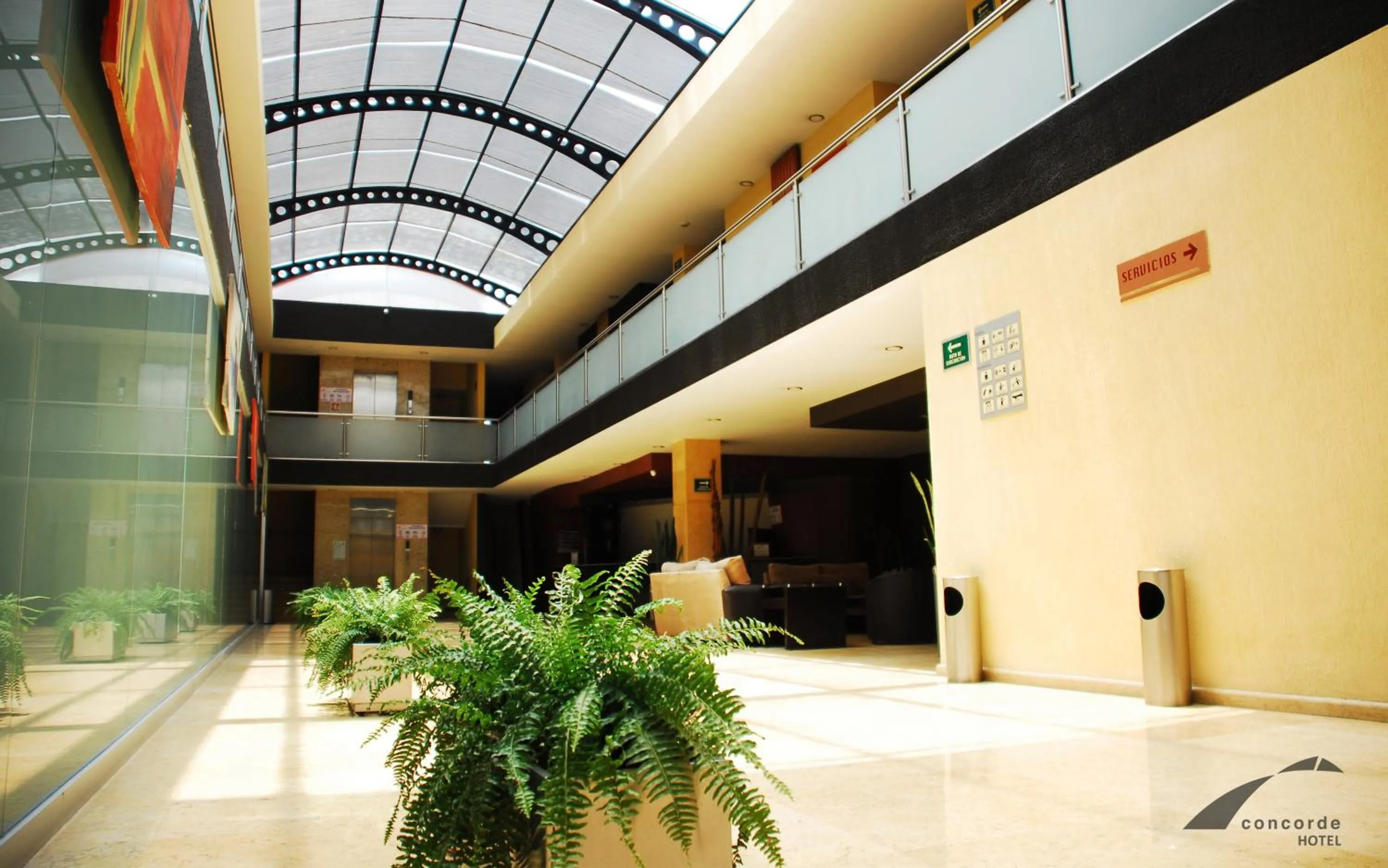 Area and facilities in Hotel Concorde Toluca